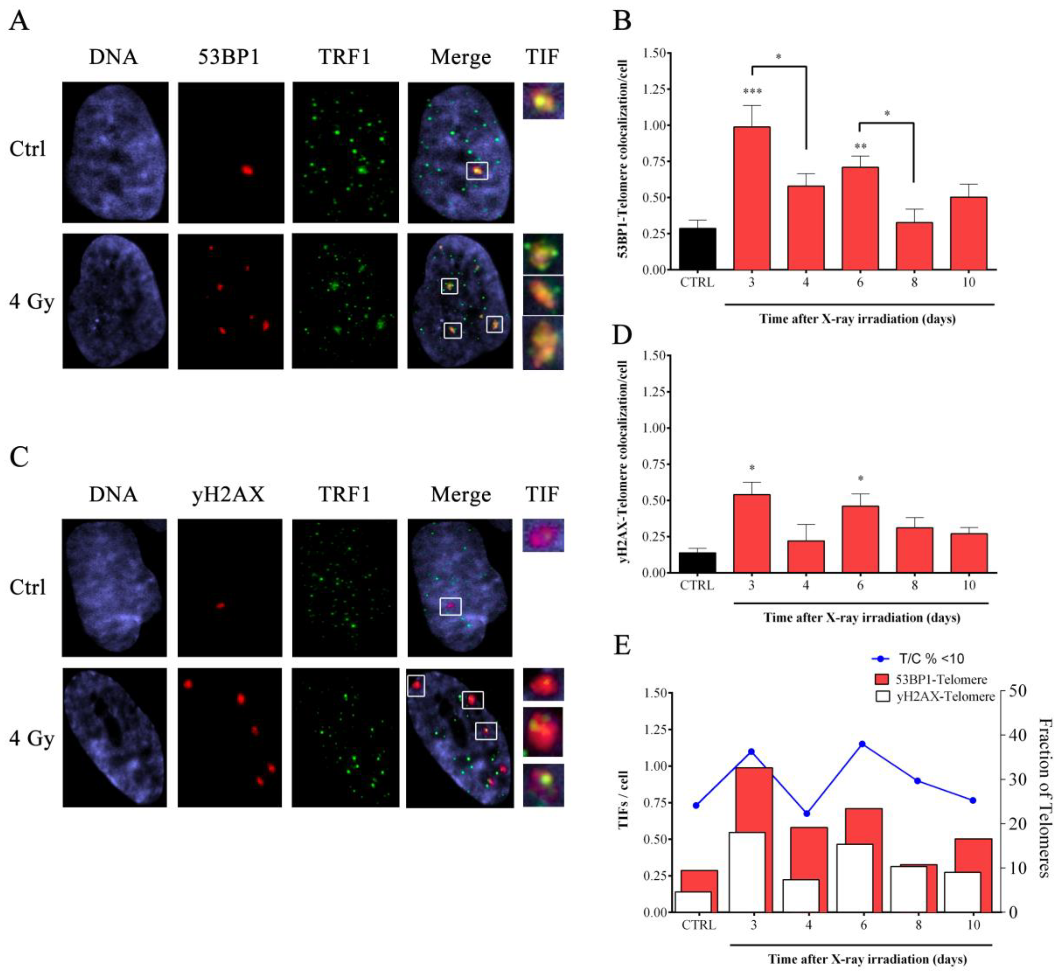 Cells 08 00708 g004 Cells 08 00708 g004