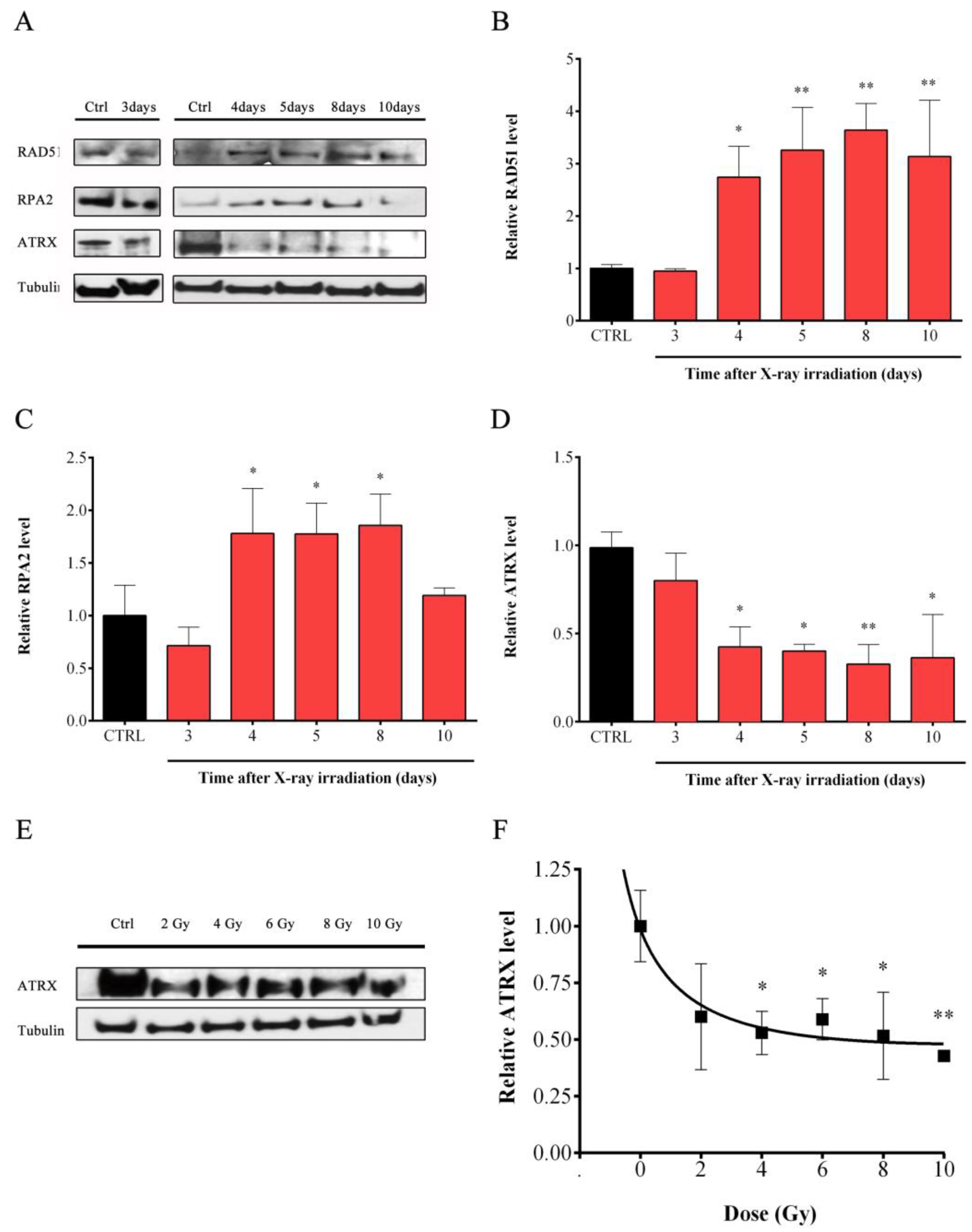 Cells 08 00708 g007 Cells 08 00708 g007