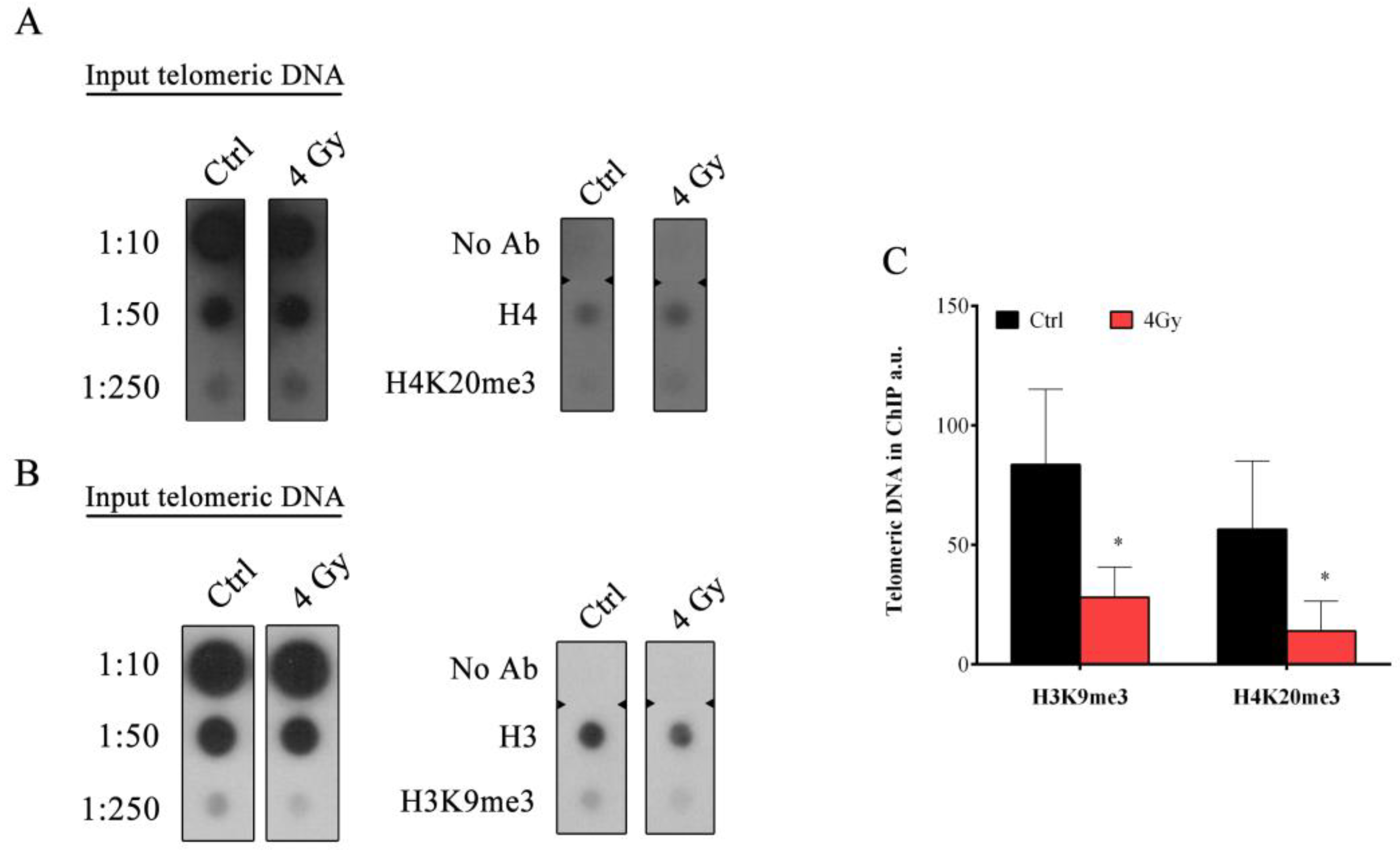 Cells 08 00708 g008 Cells 08 00708 g008