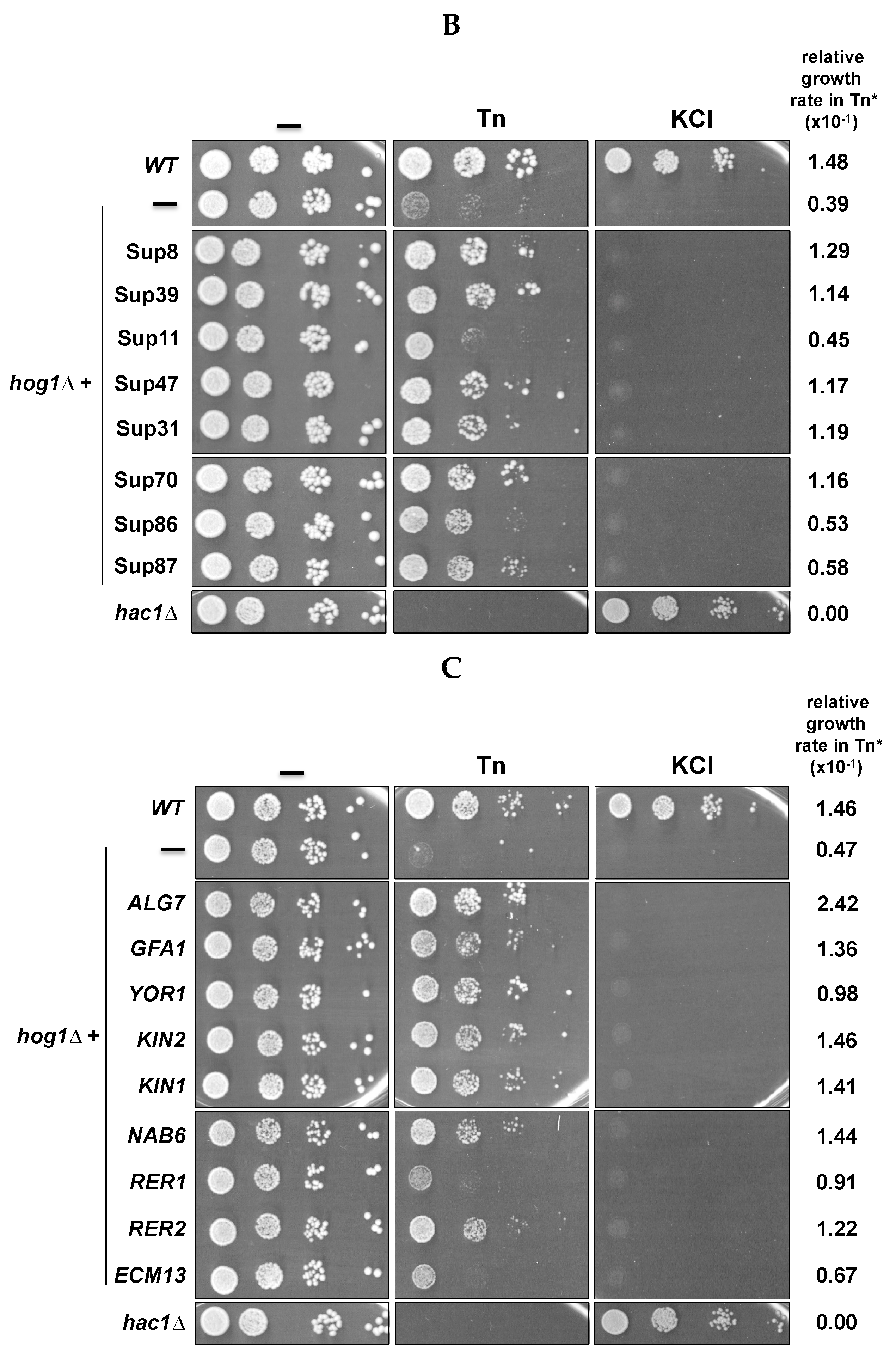 Cells 08 00710 g002b
