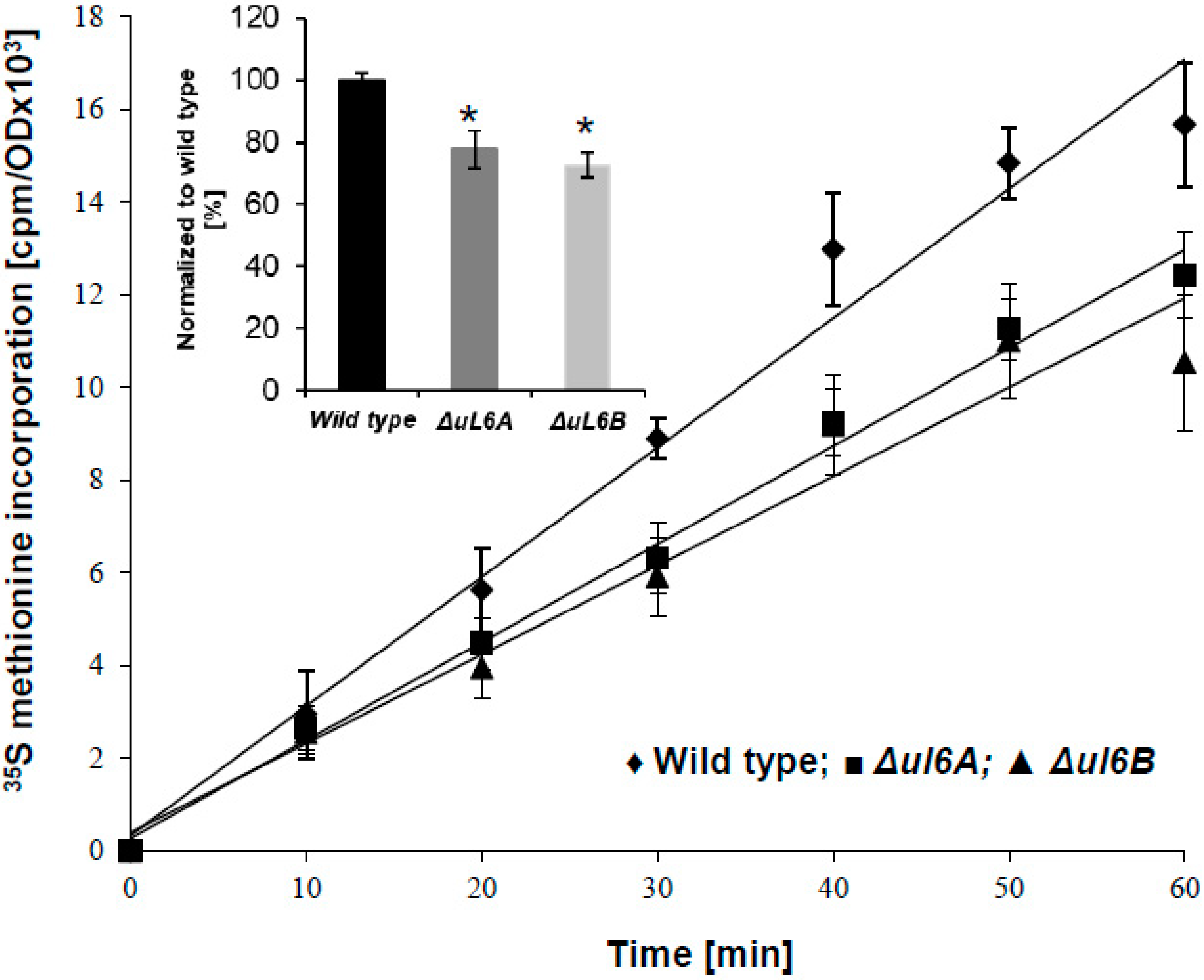 Cells 08 00718 g003 Cells 08 00718 g003