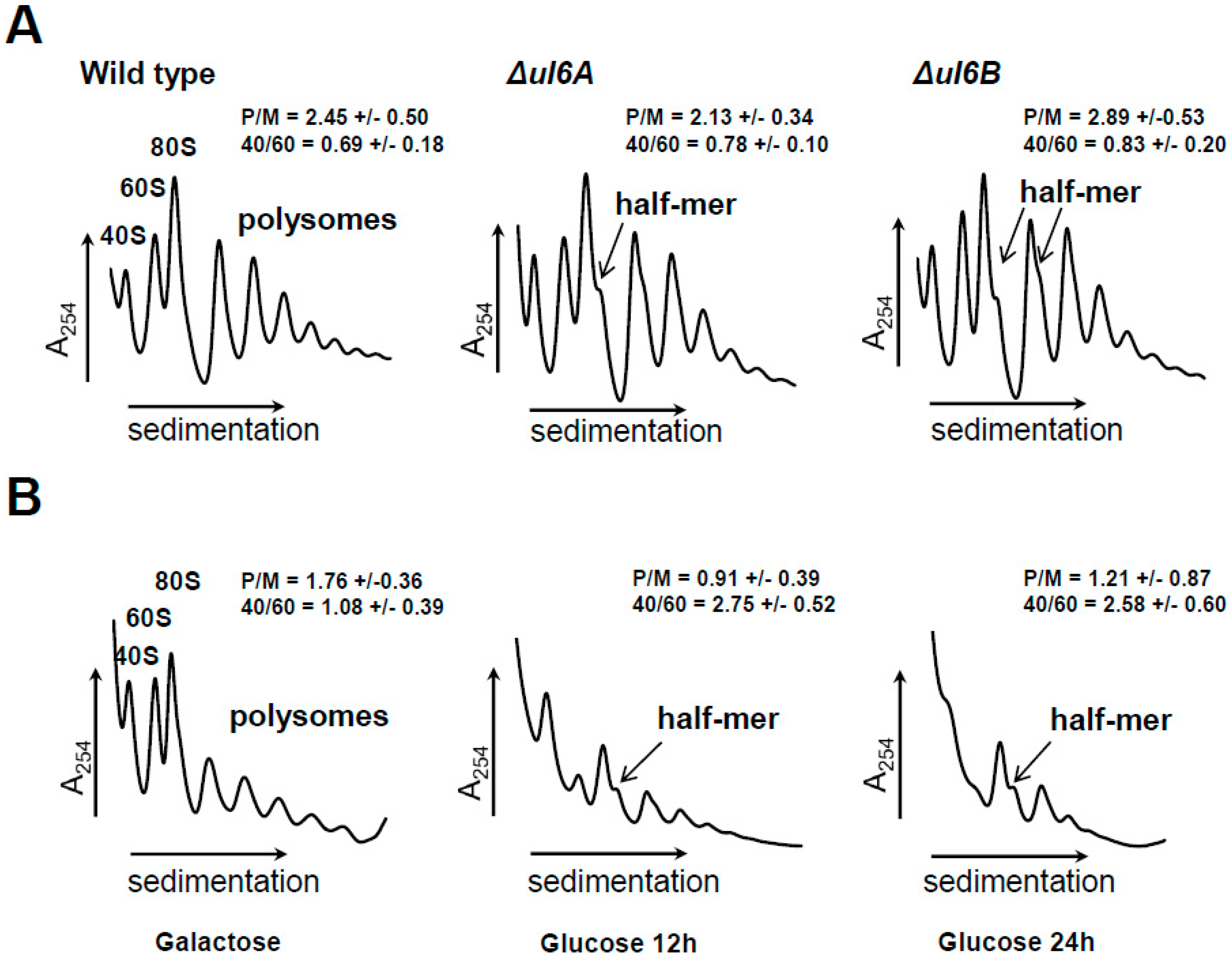 Cells 08 00718 g004 Cells 08 00718 g004