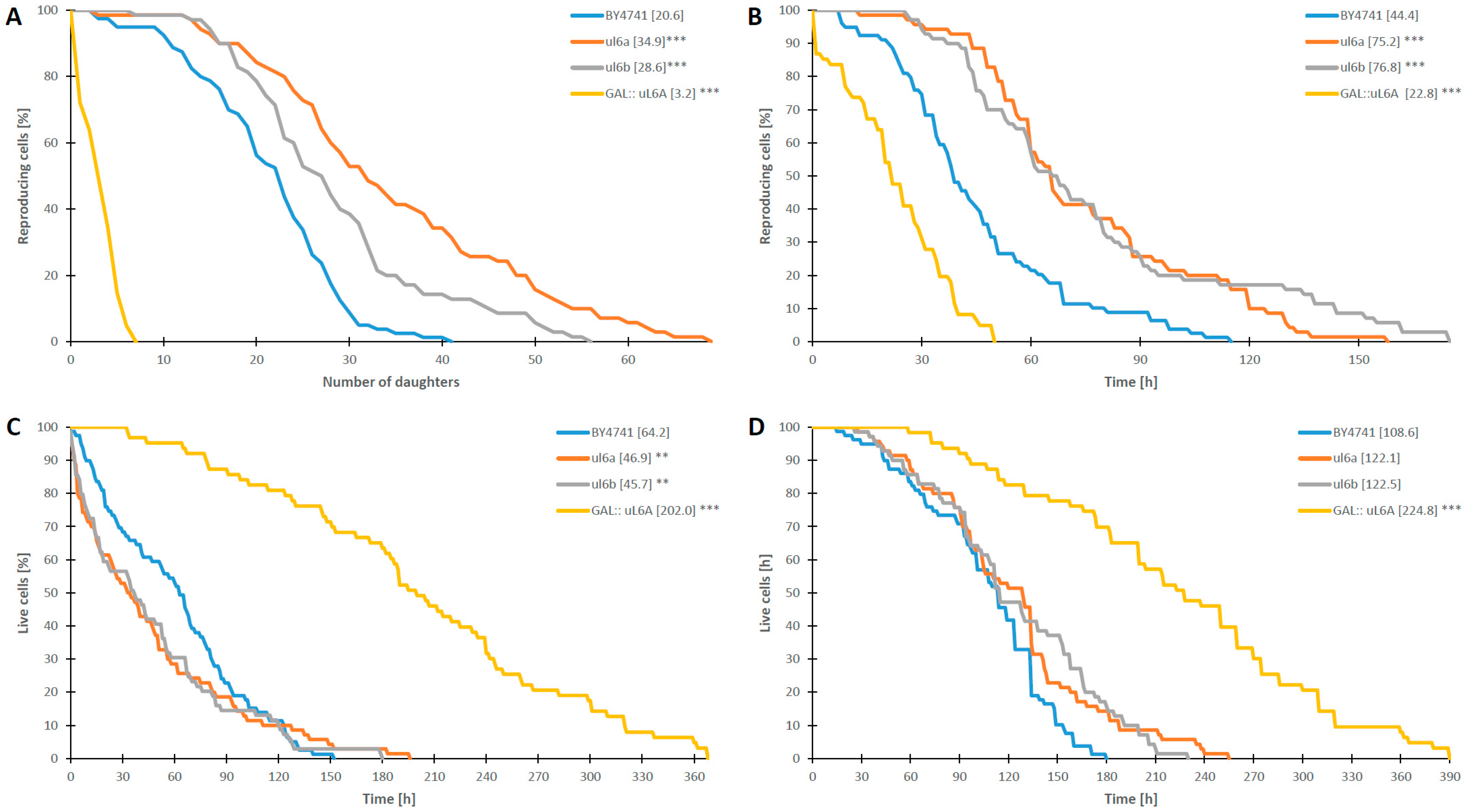 Cells 08 00718 g006 Cells 08 00718 g006