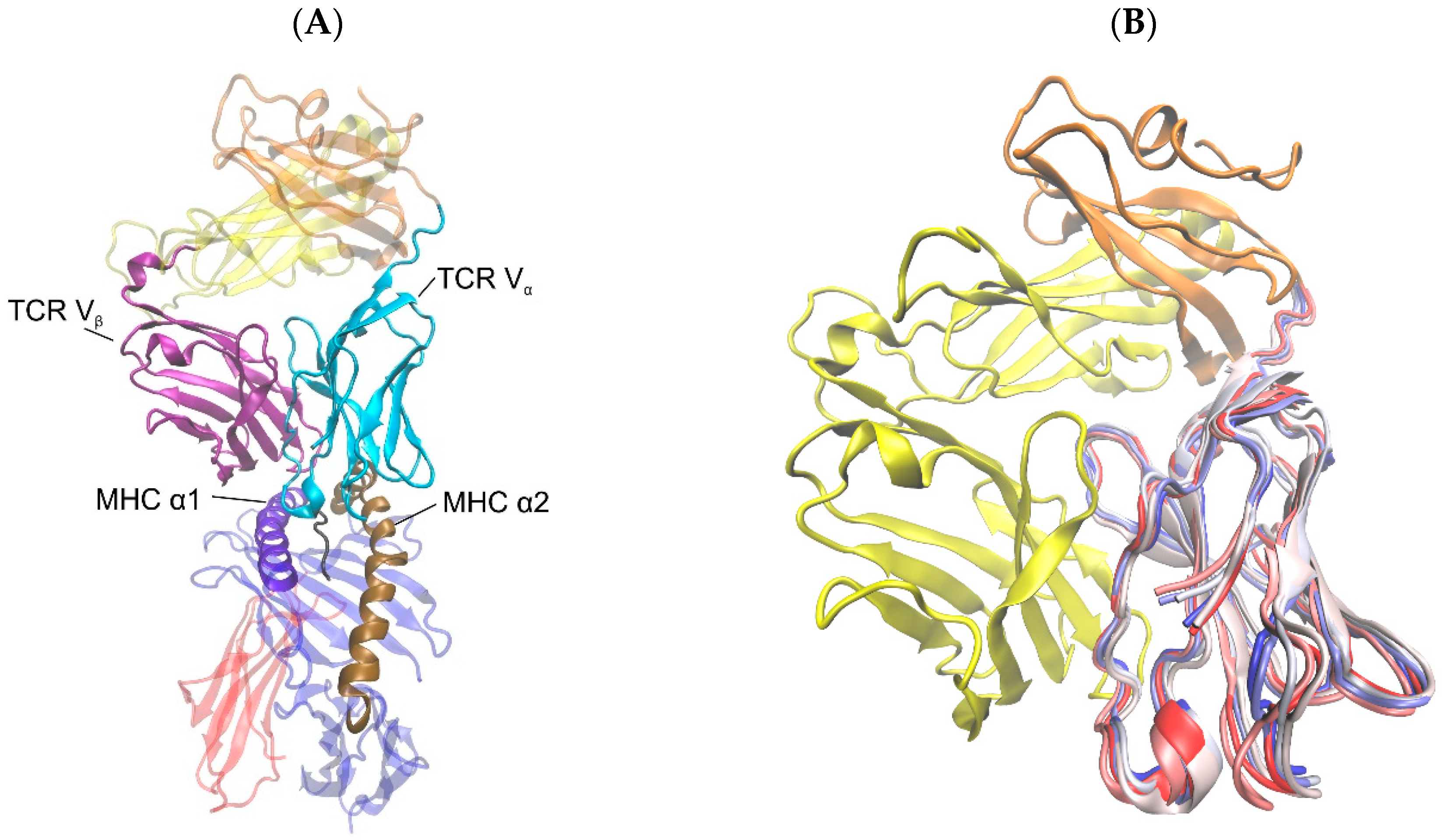 Cells 08 00720 g001 Cells 08 00720 g001