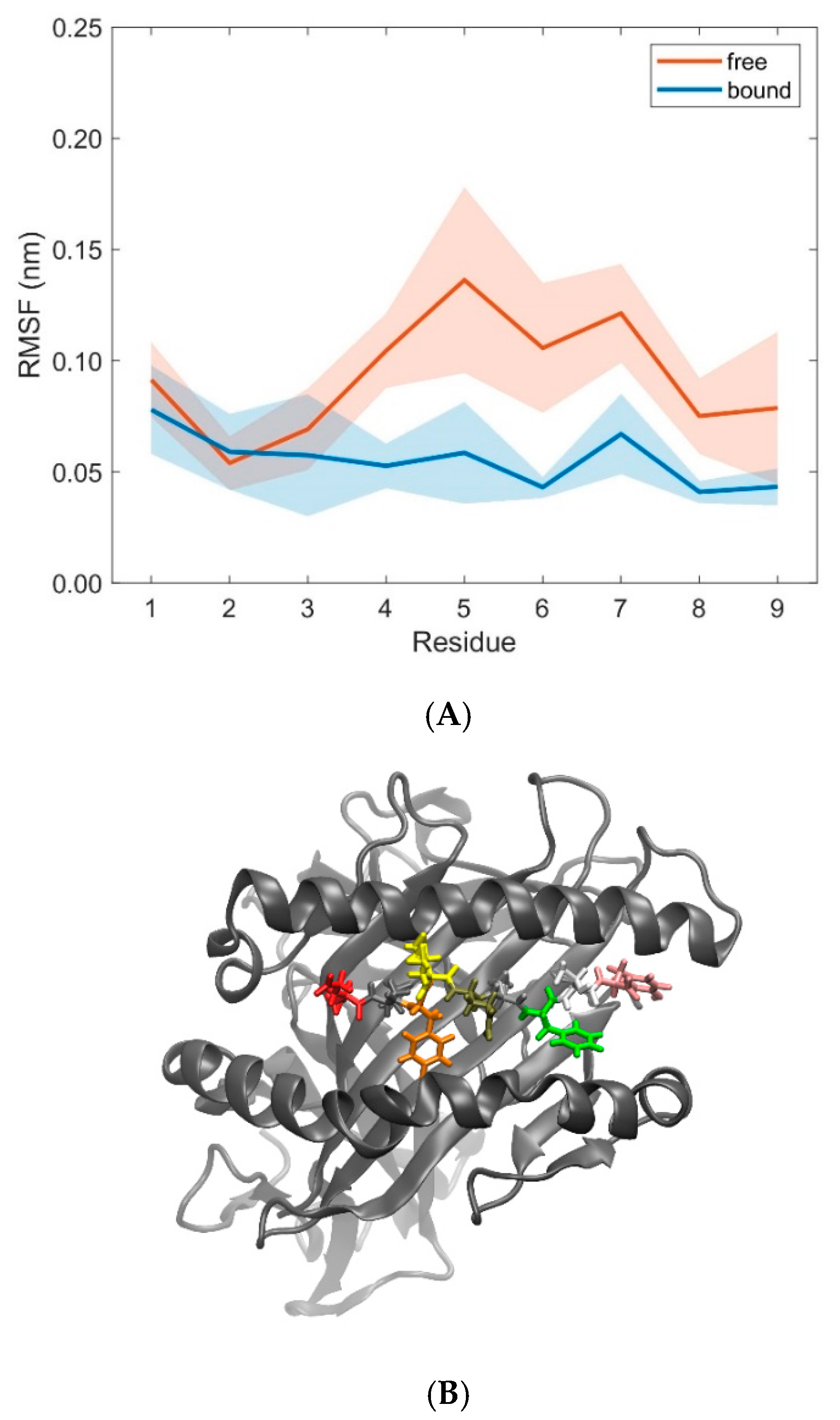 Cells 08 00720 g011 Cells 08 00720 g011