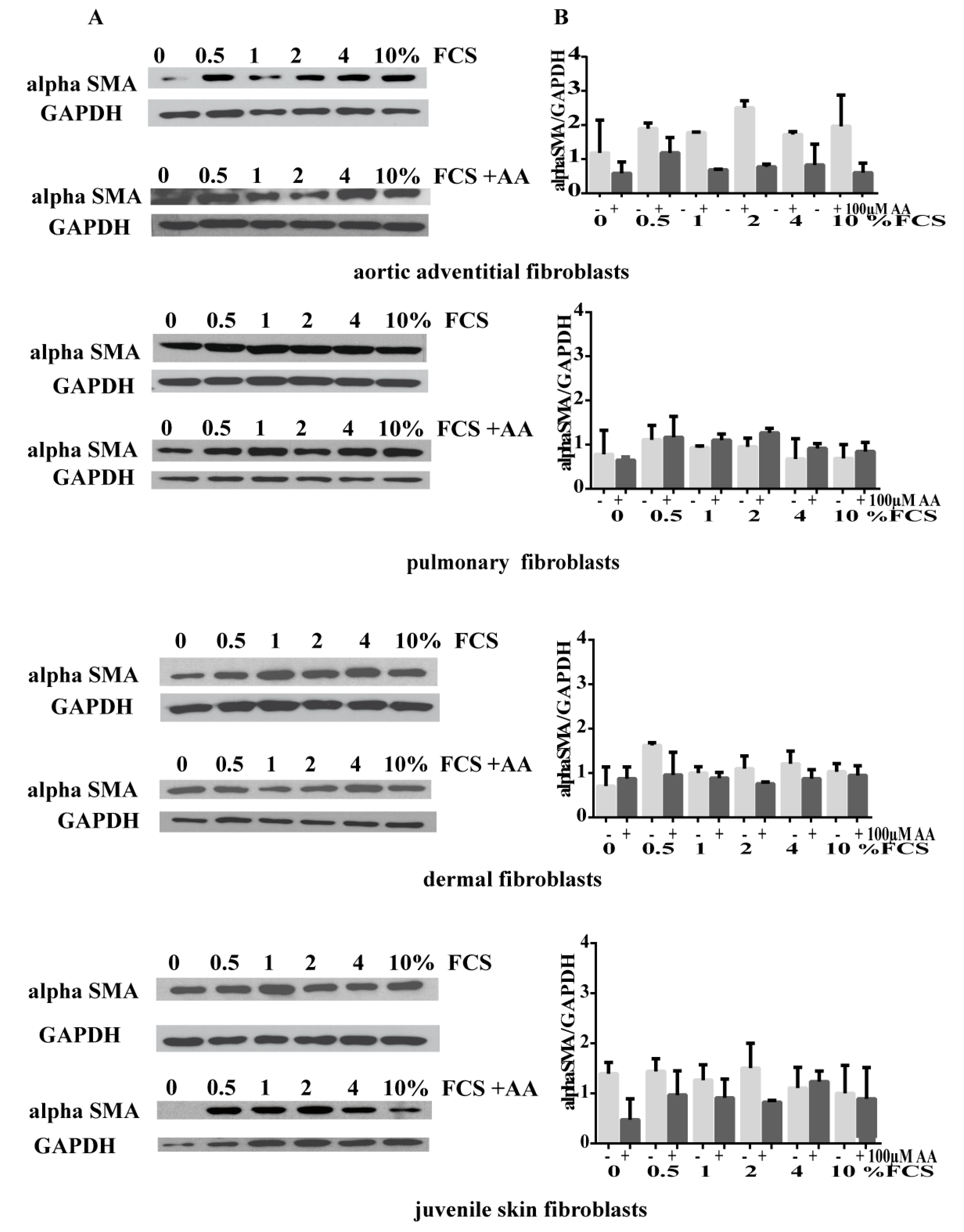 Cells 08 00721 g002