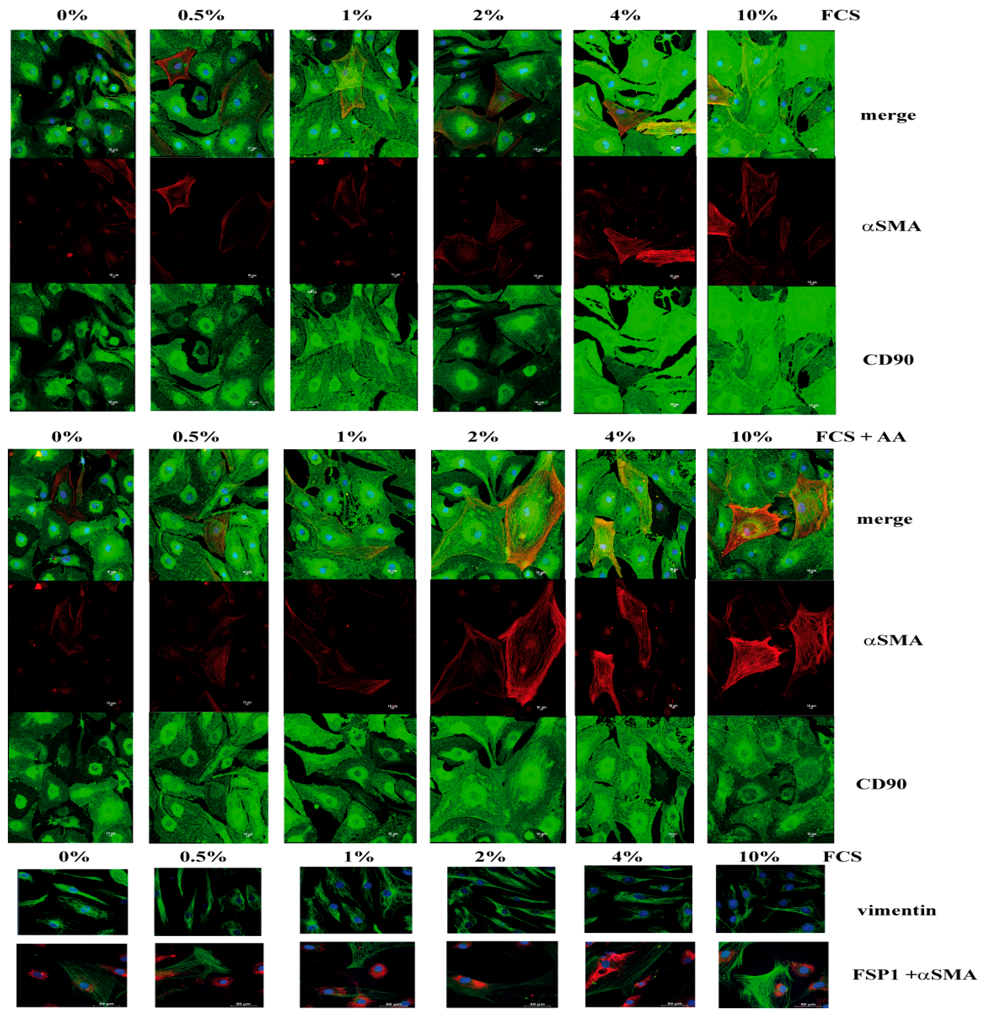 Cells 08 00721 g003