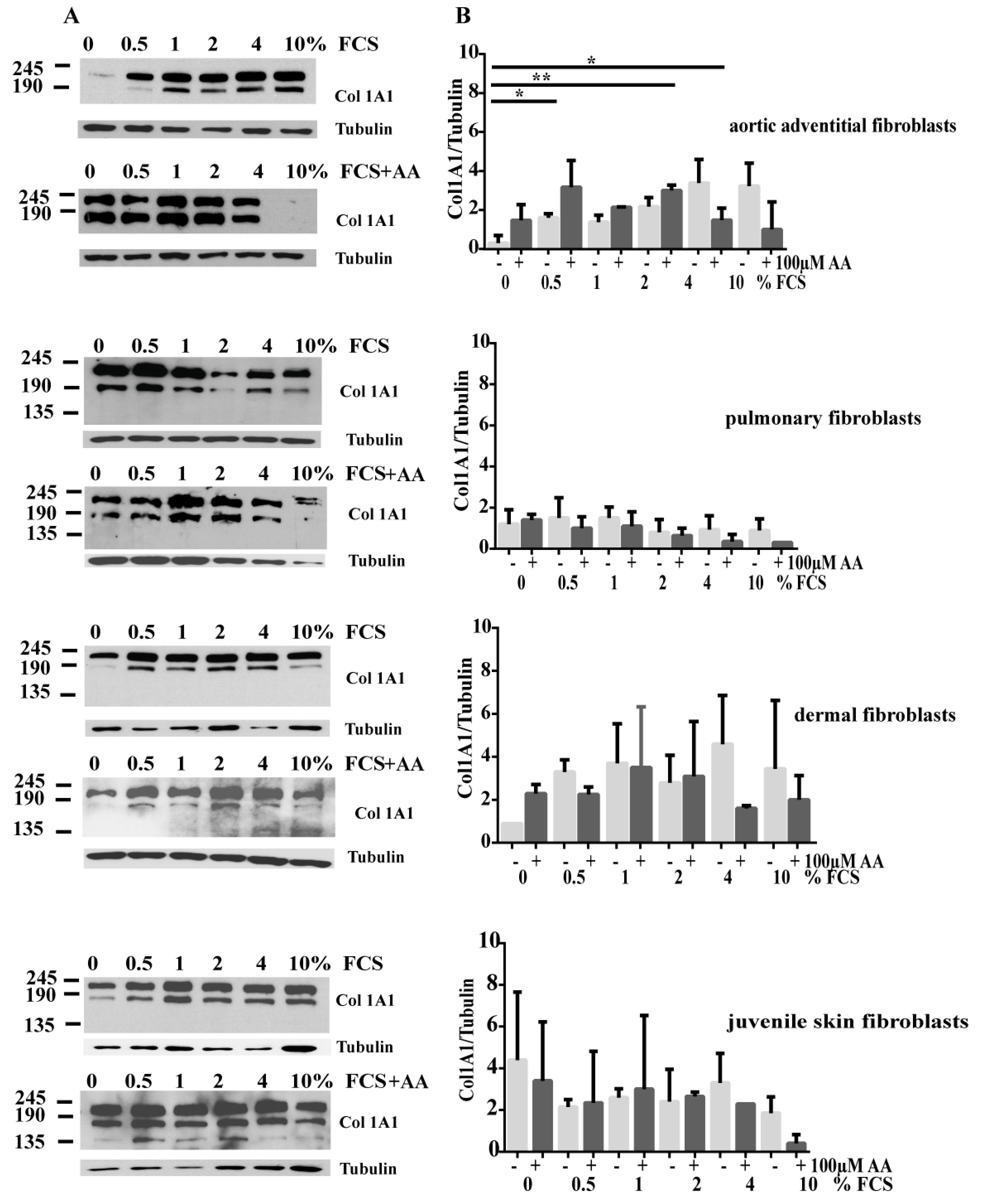 Cells 08 00721 g006