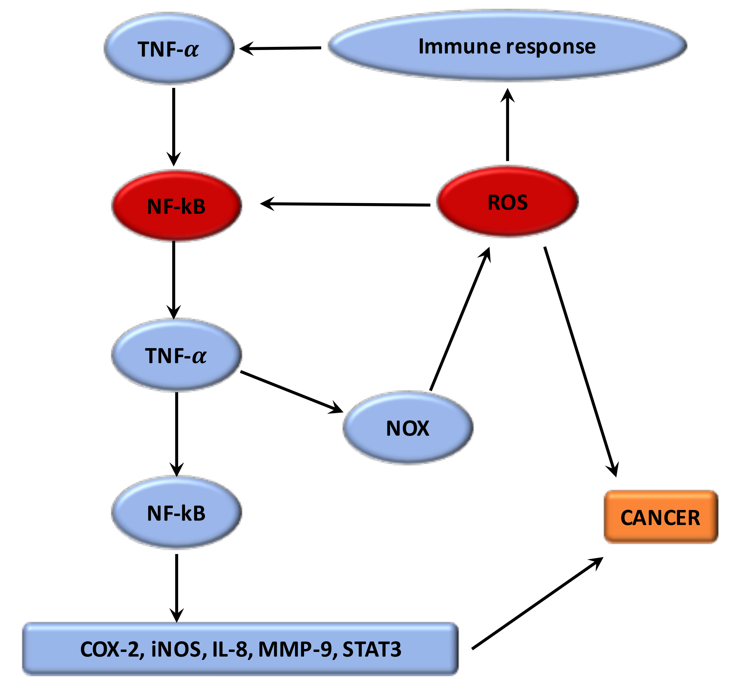 surviving stage four colon cancer