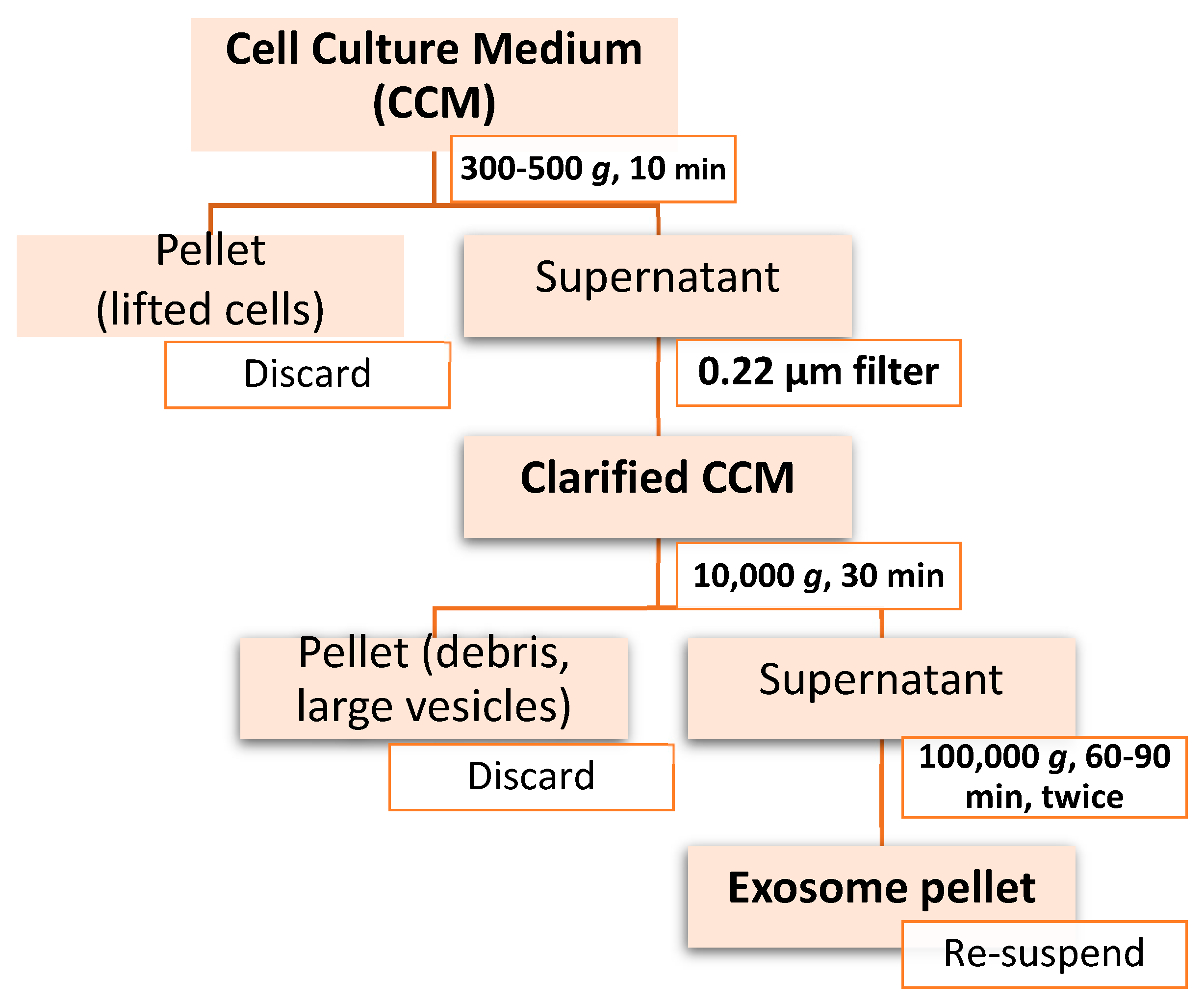 Quantitative Recoveries of Exosomes and Monoclonal Antibodies from