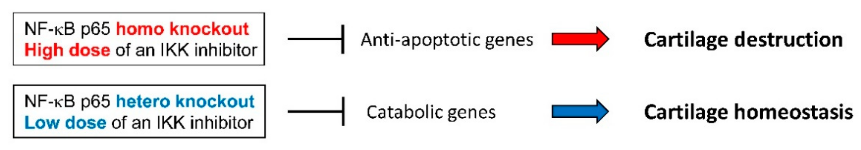 Cells 08 00734 g002 Cells 08 00734 g002