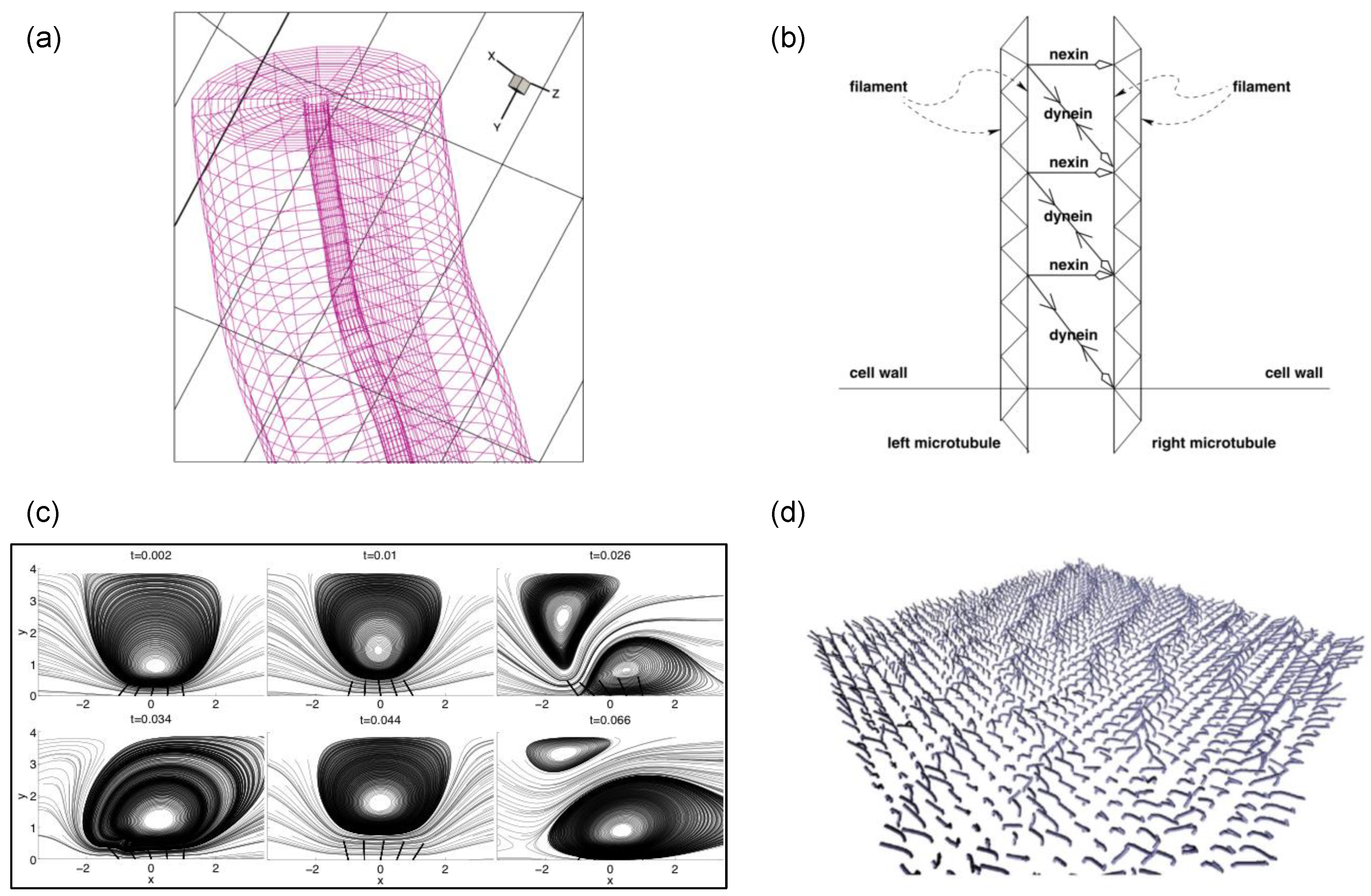 Cells 08 00736 g006