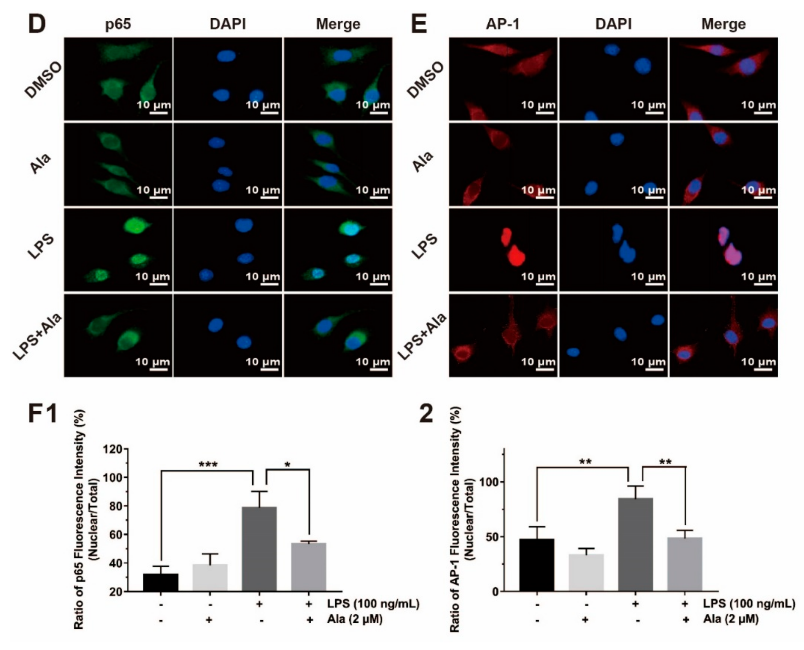 Cells 08 00739 g004b Cells 08 00739 g004b