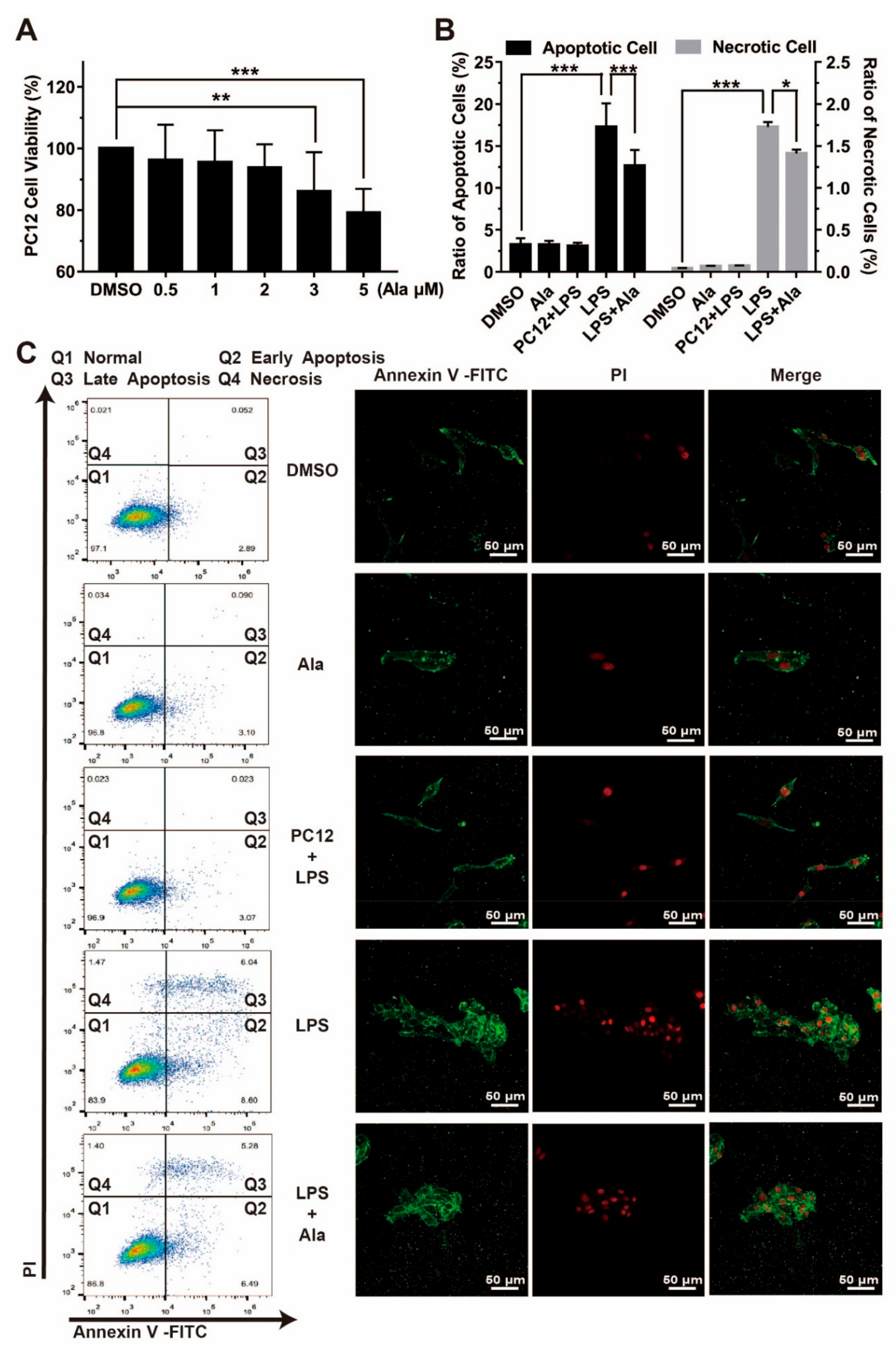 Cells 08 00739 g005 Cells 08 00739 g005