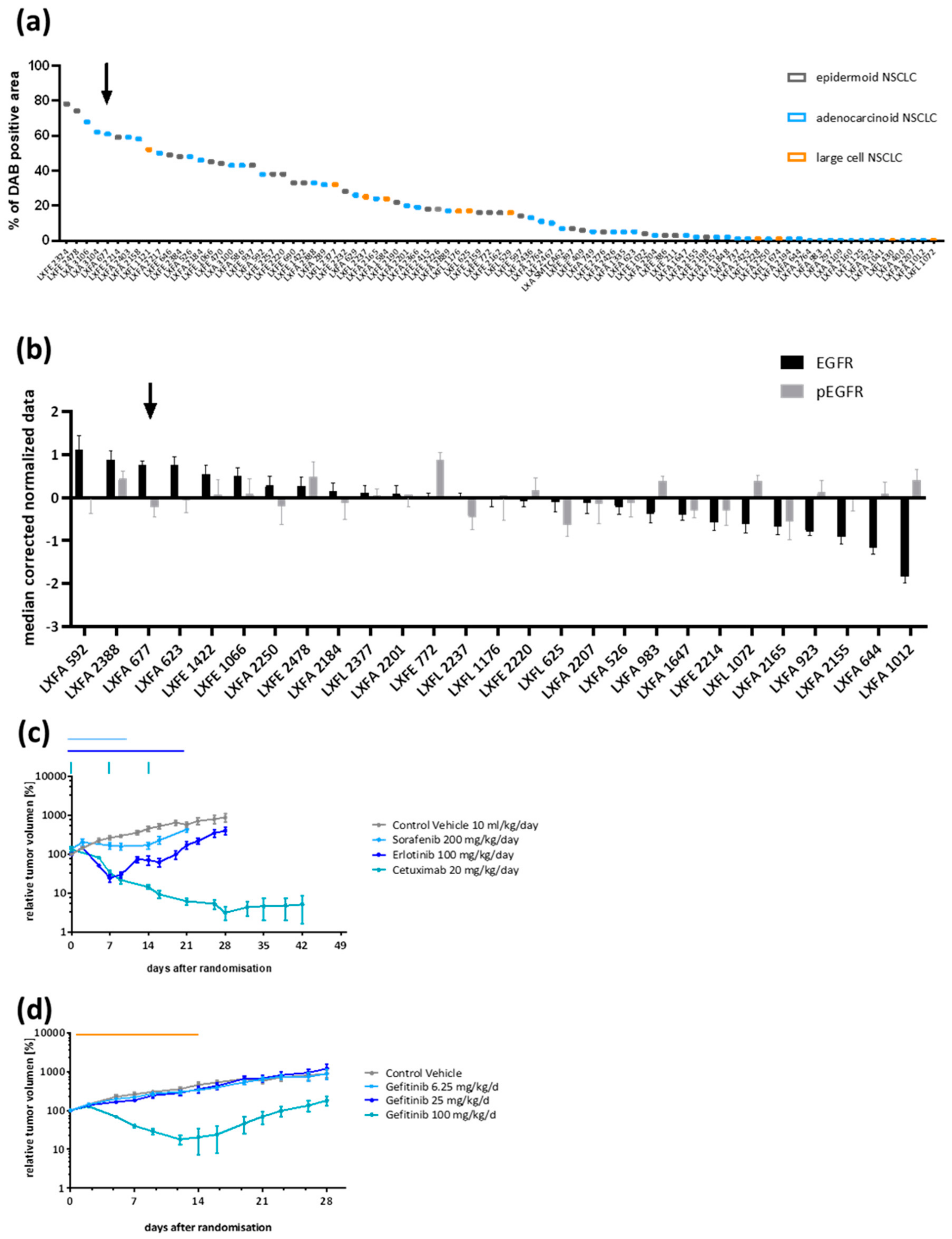 Cells 08 00740 g001 Cells 08 00740 g001