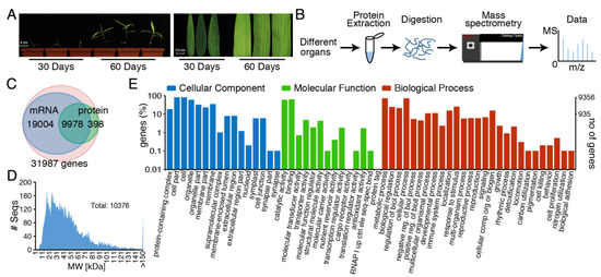 専用ページイメージ画像9/28 Harnessing the Potential of Antibacterial and Antibiofilm