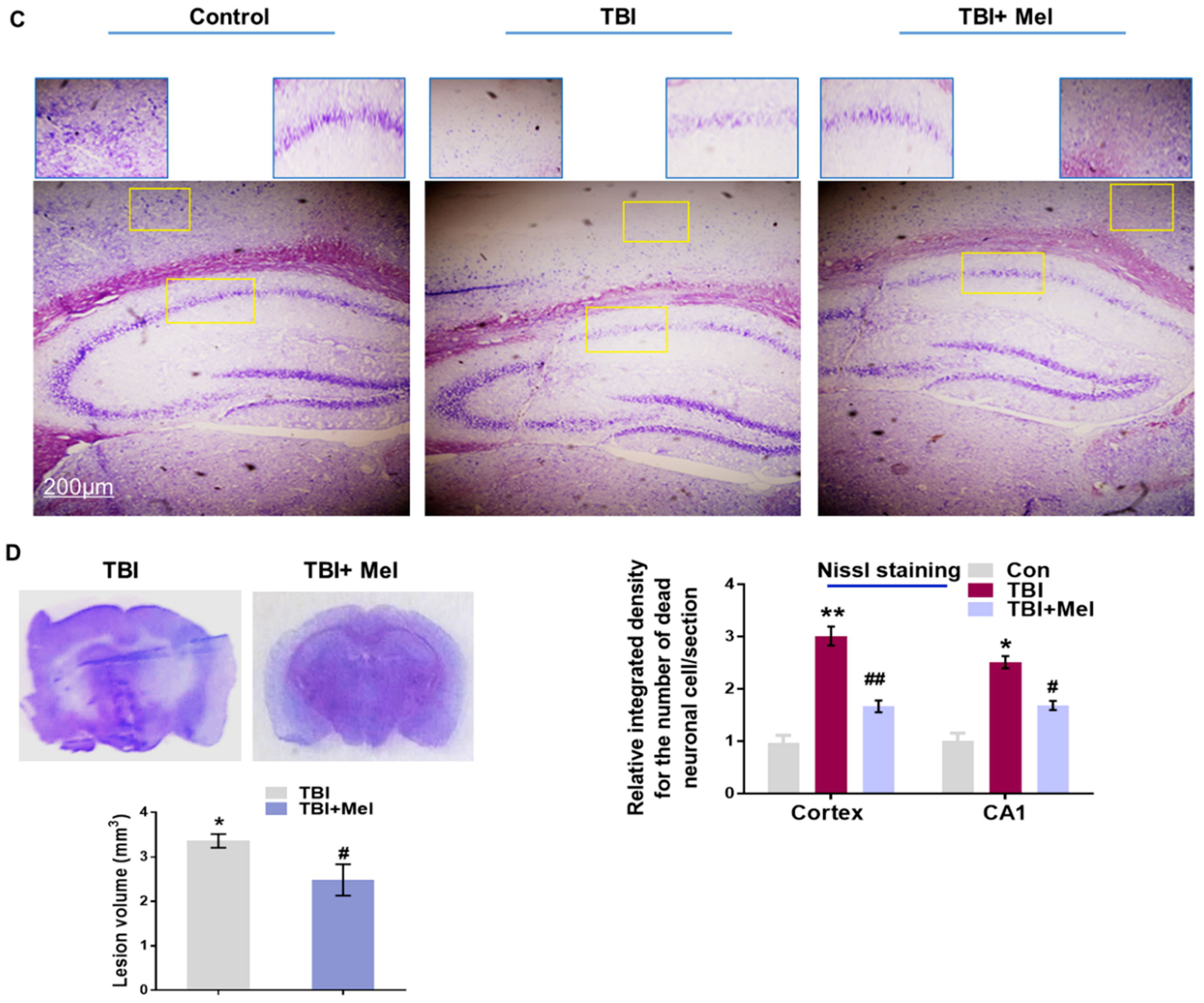 Cells 08 00760 g005b