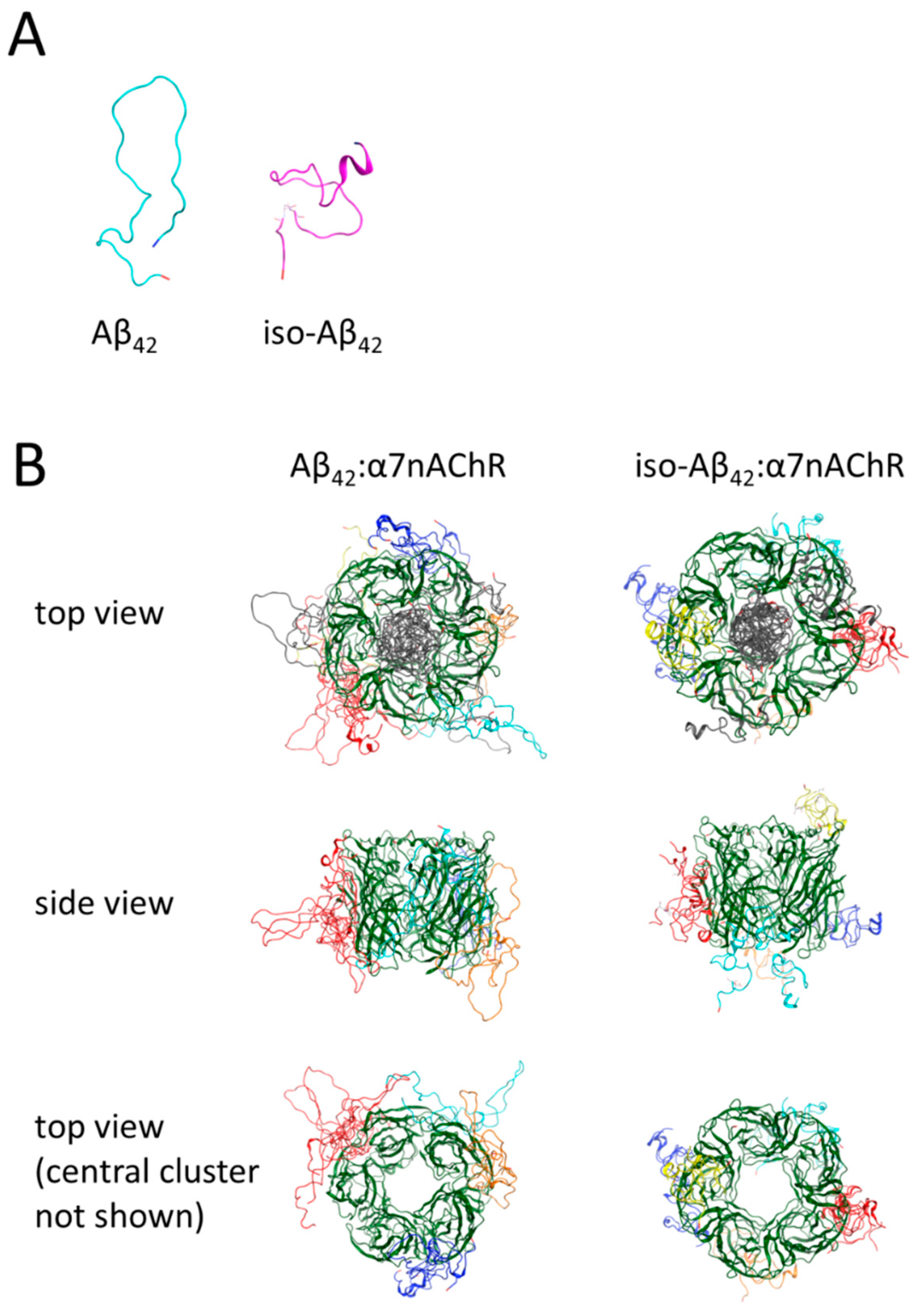 Cells 08 00771 g004 Cells 08 00771 g004