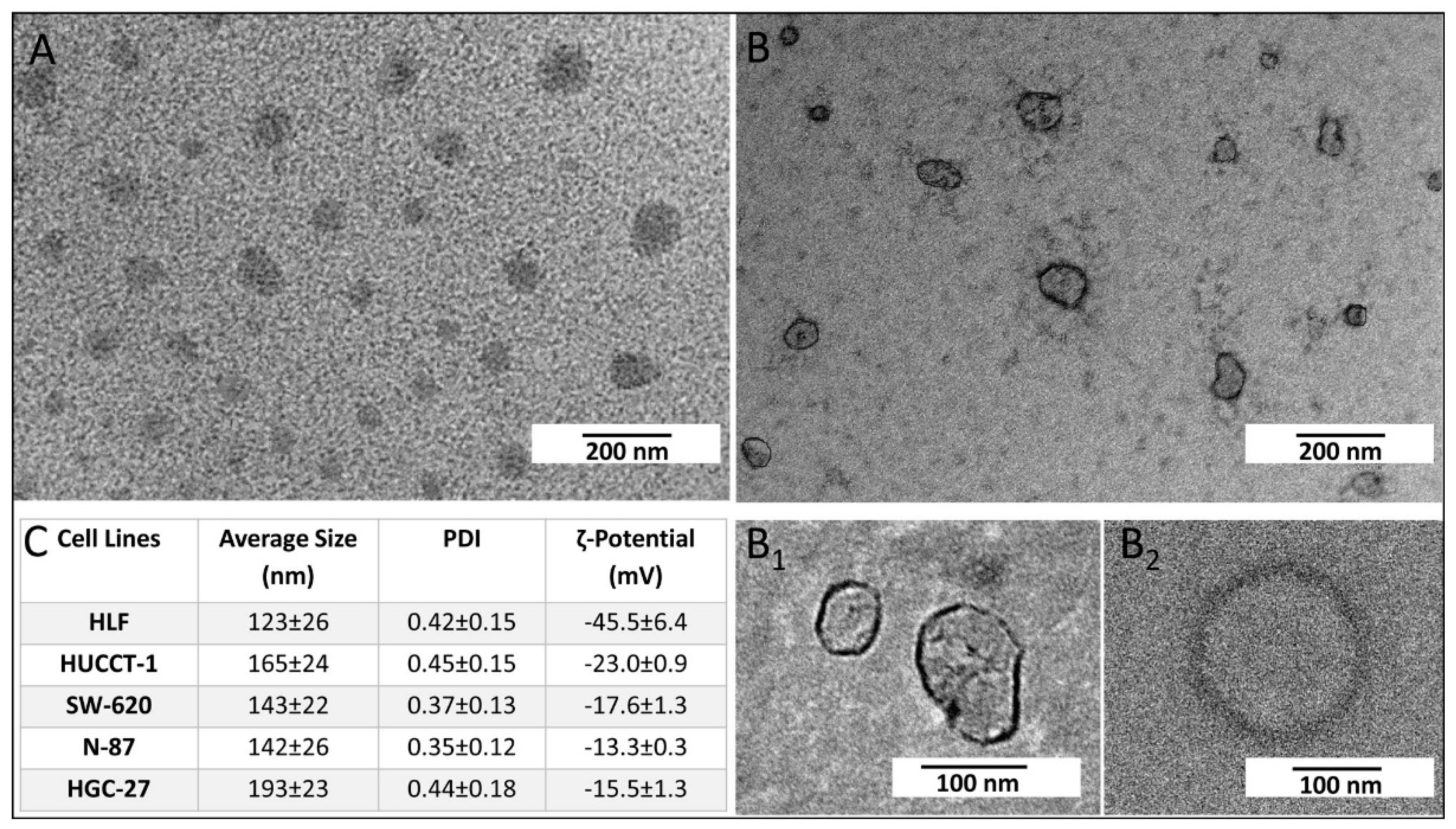 Cells 08 00777 g002
