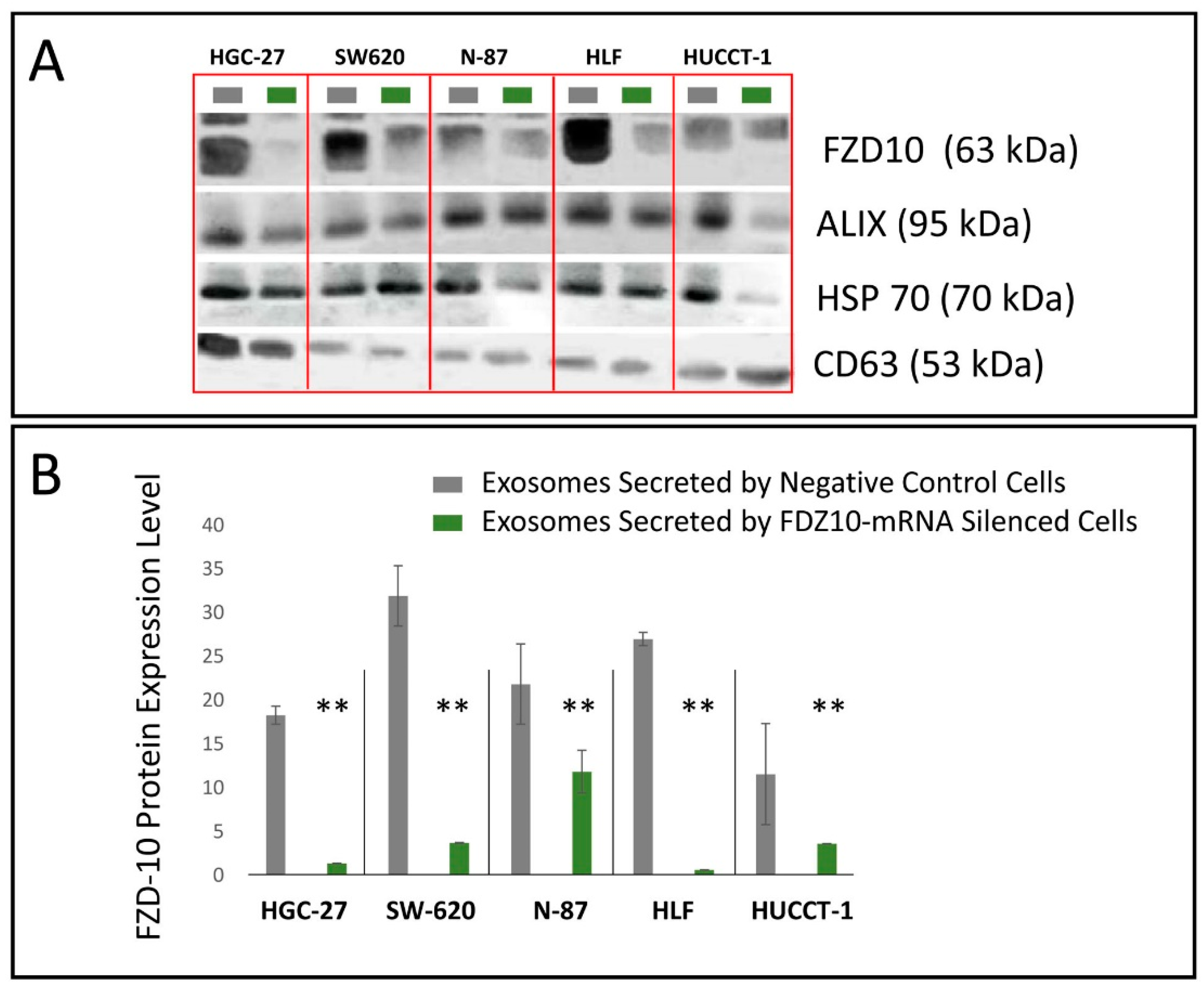 Cells 08 00777 g005