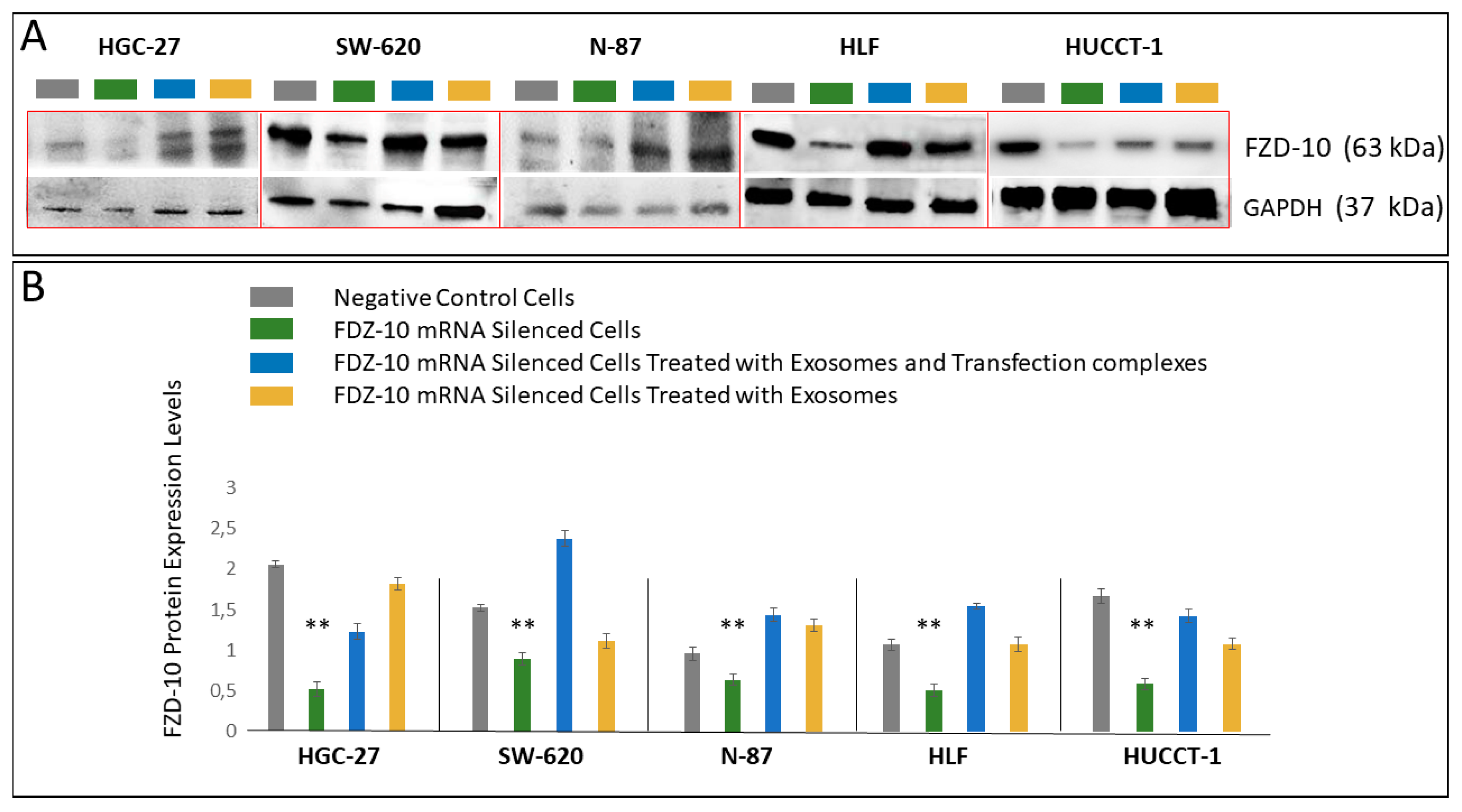 Cells 08 00777 g006