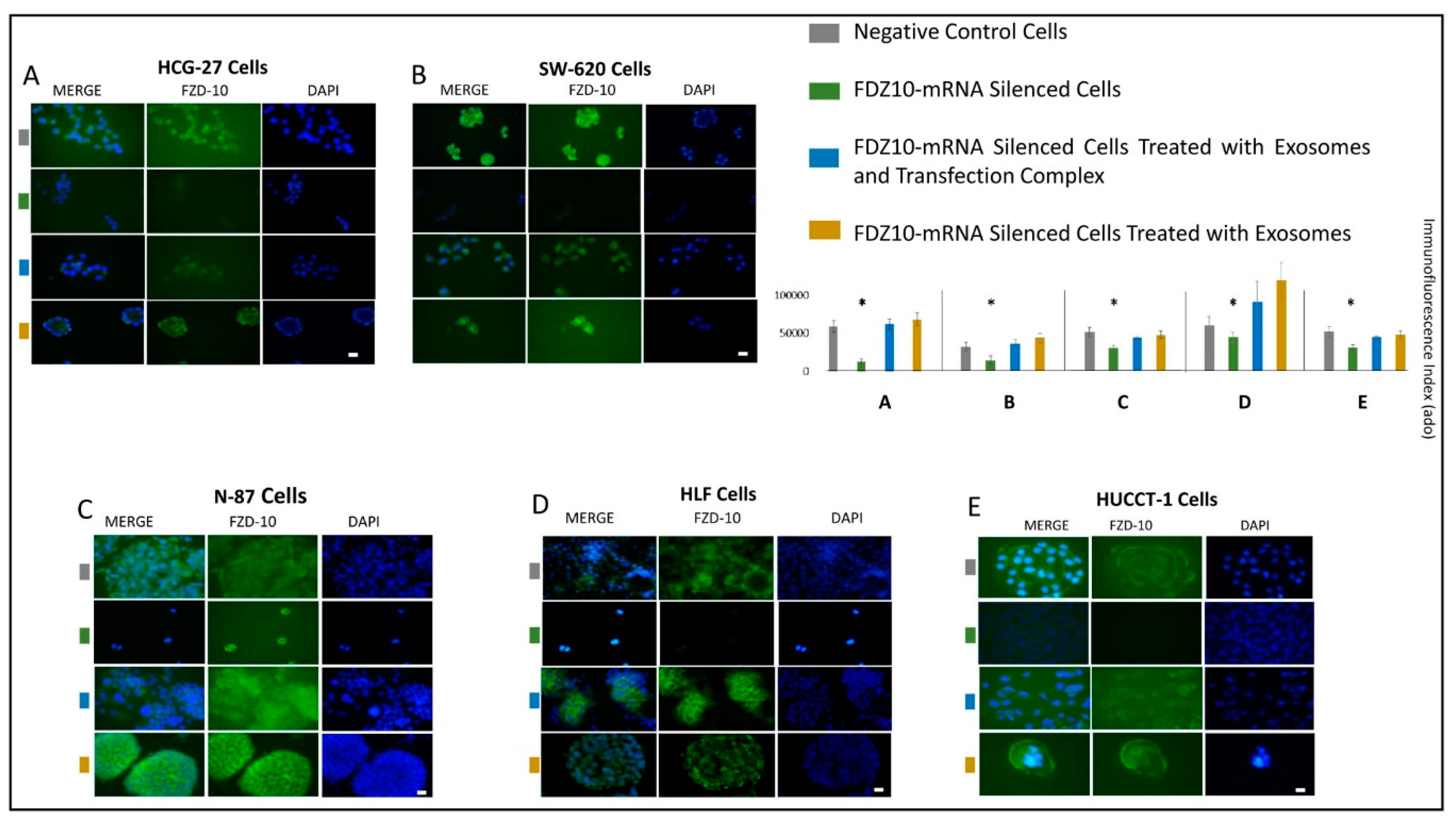 Cells 08 00777 g007