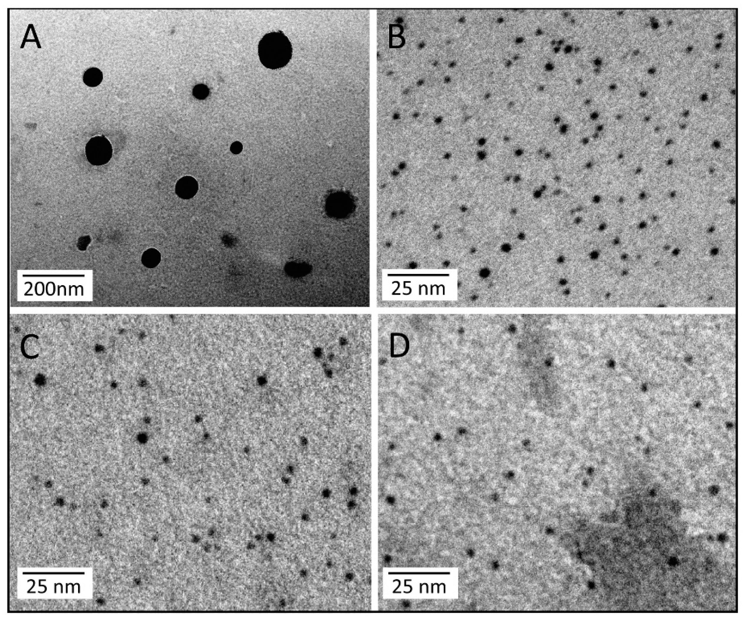 Cells 08 00777 g008