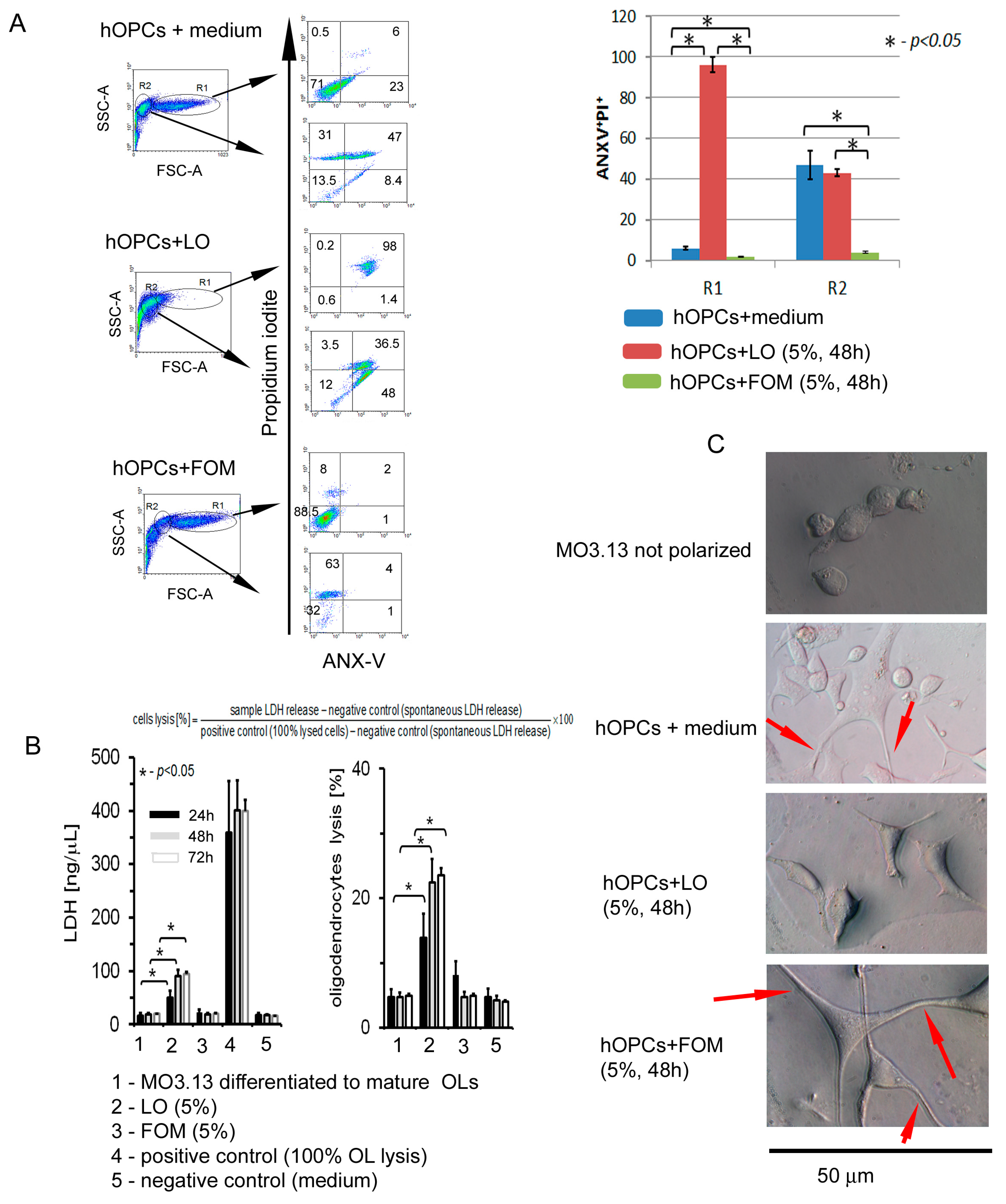 Cells 08 00786 g004