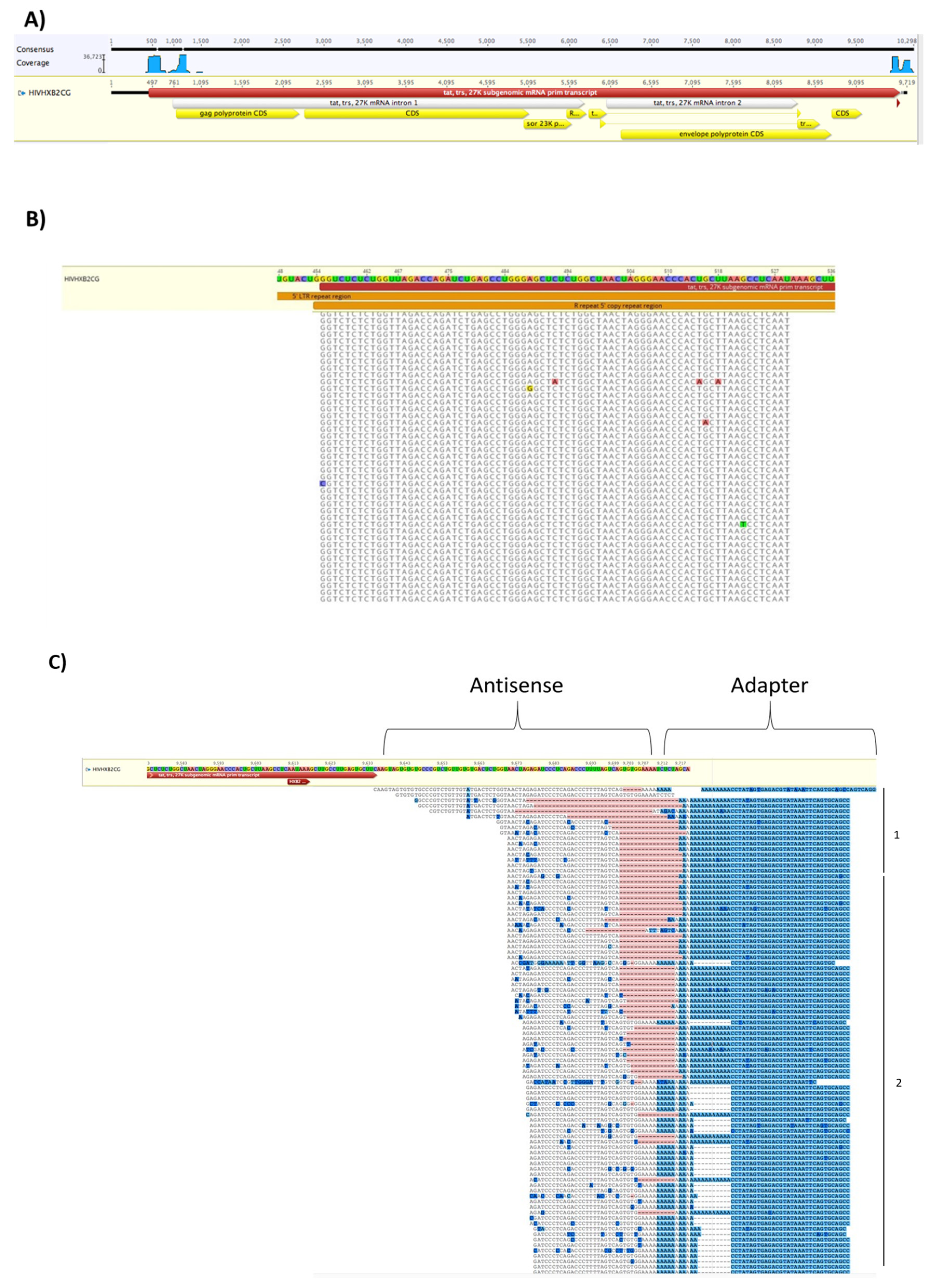 Cells 08 00787 g007a