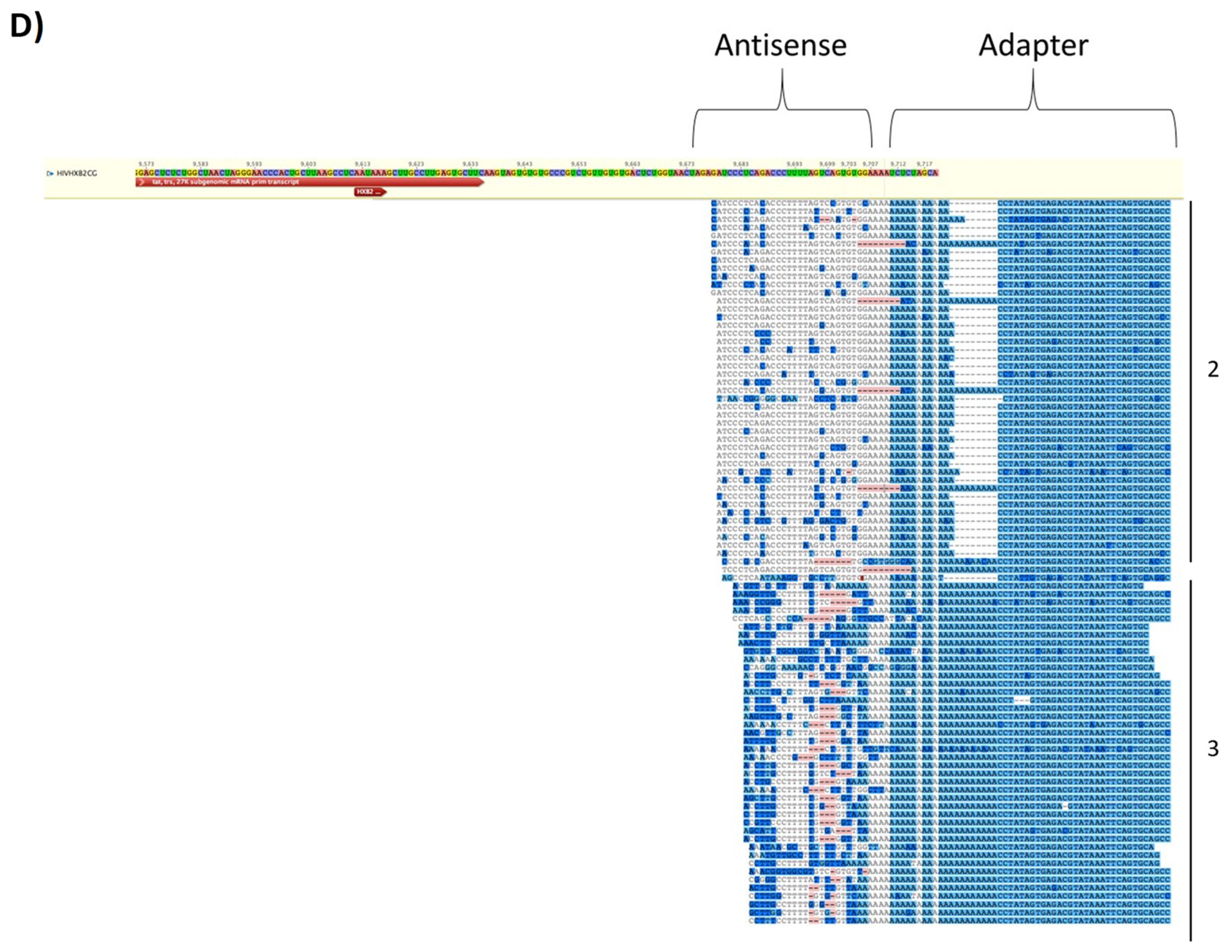 Cells 08 00787 g007b