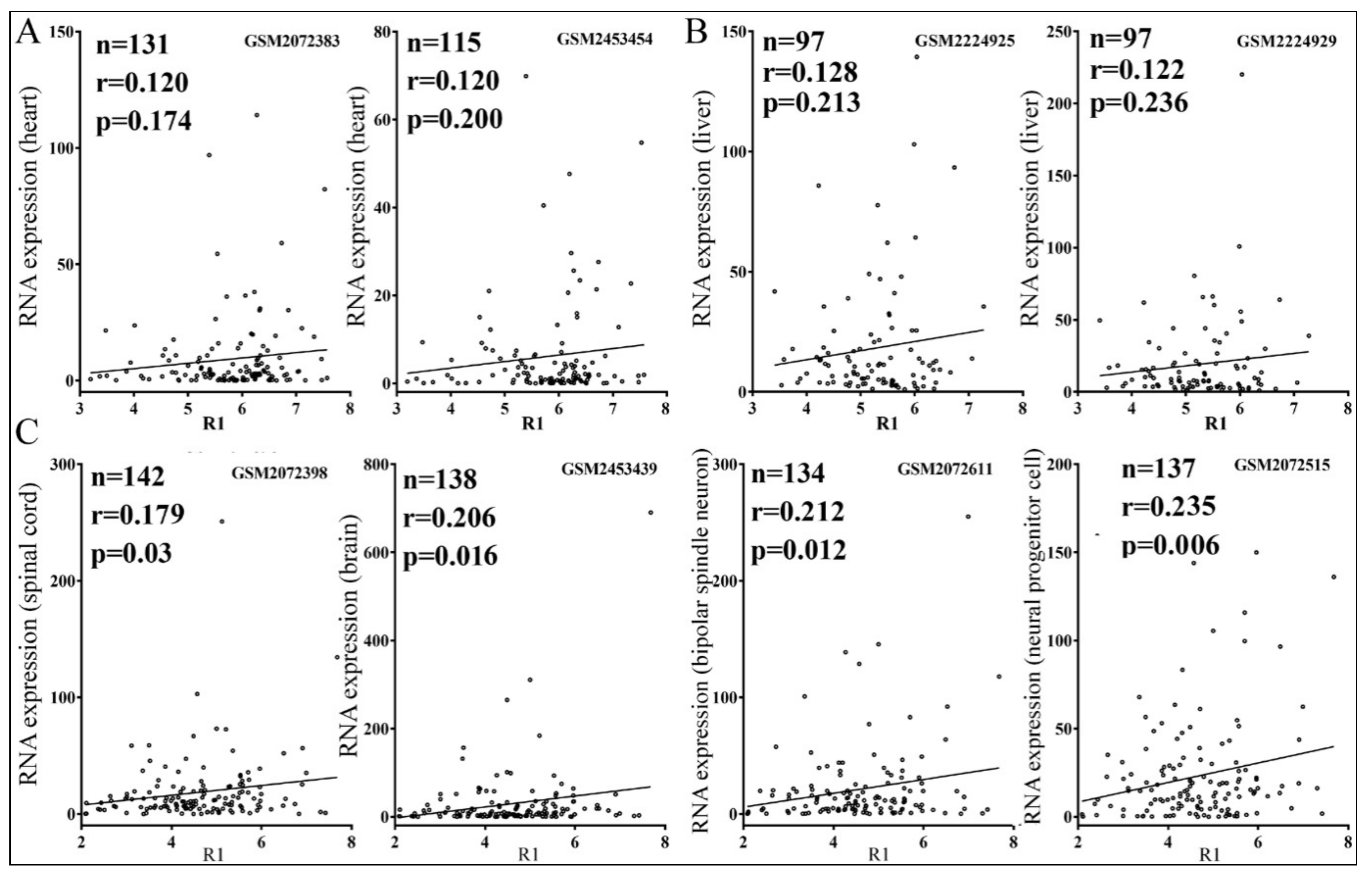 Cells 08 00791 g007