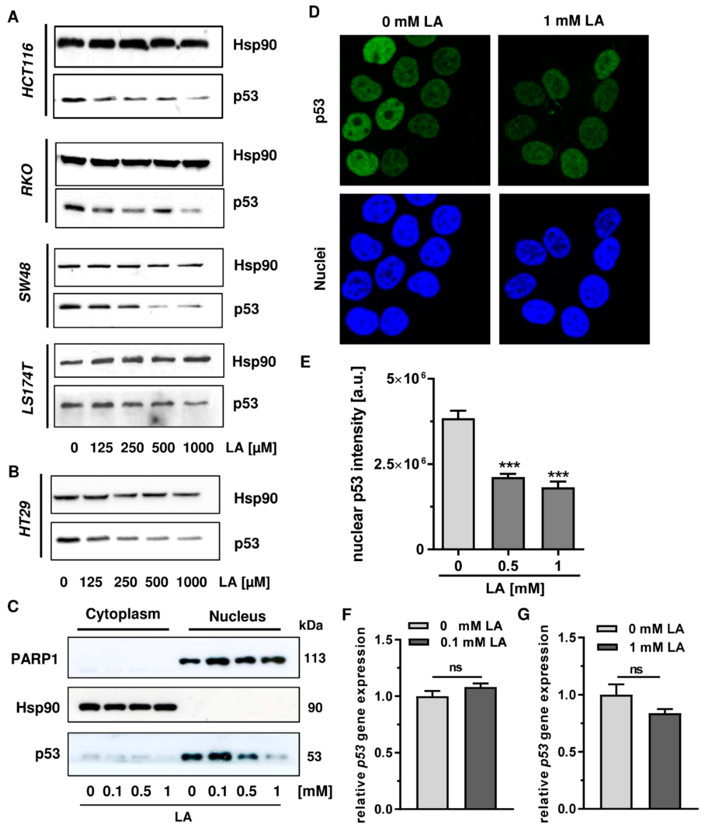 Cells 08 00794 g001