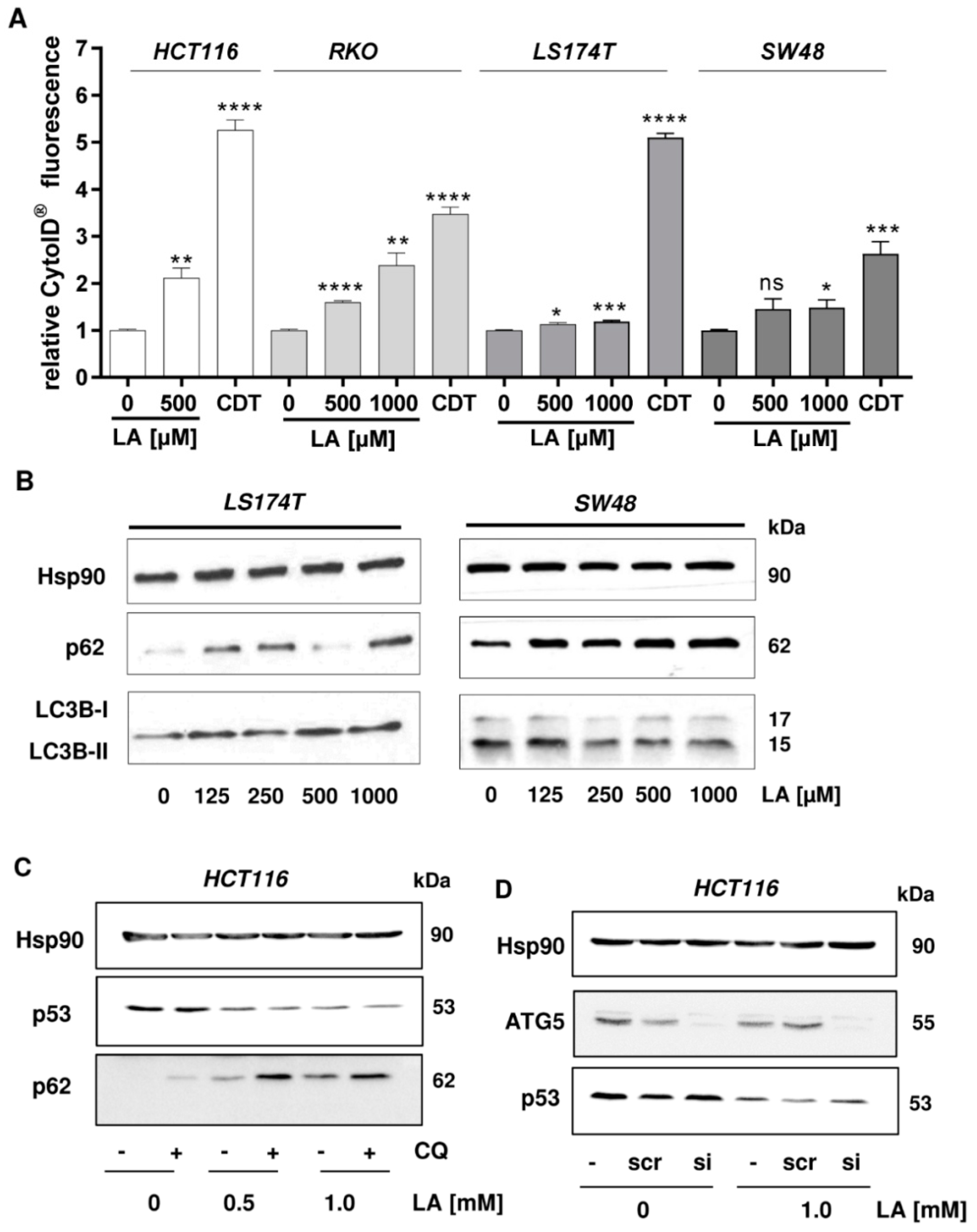 Cells 08 00794 g004