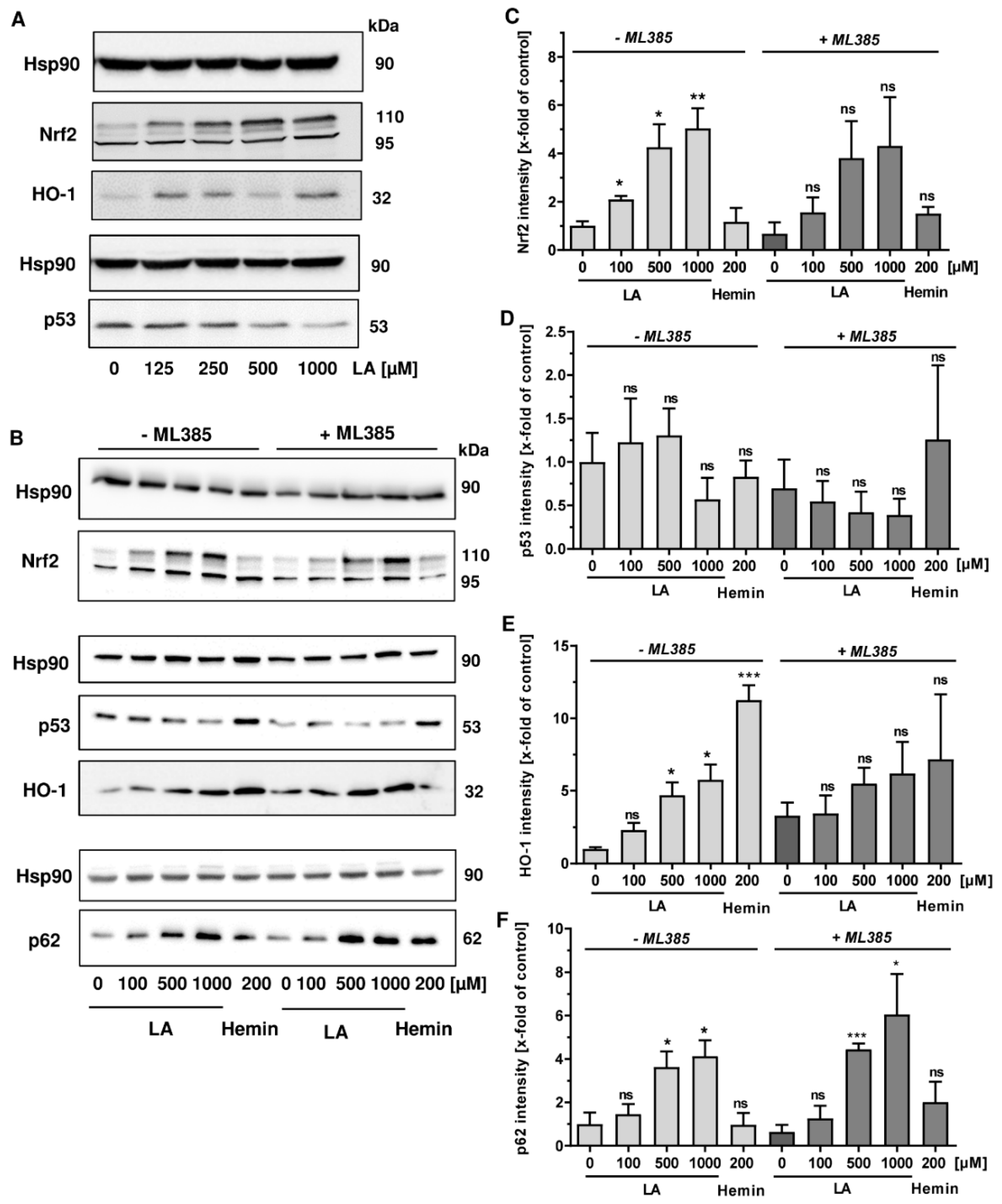 Cells 08 00794 g005