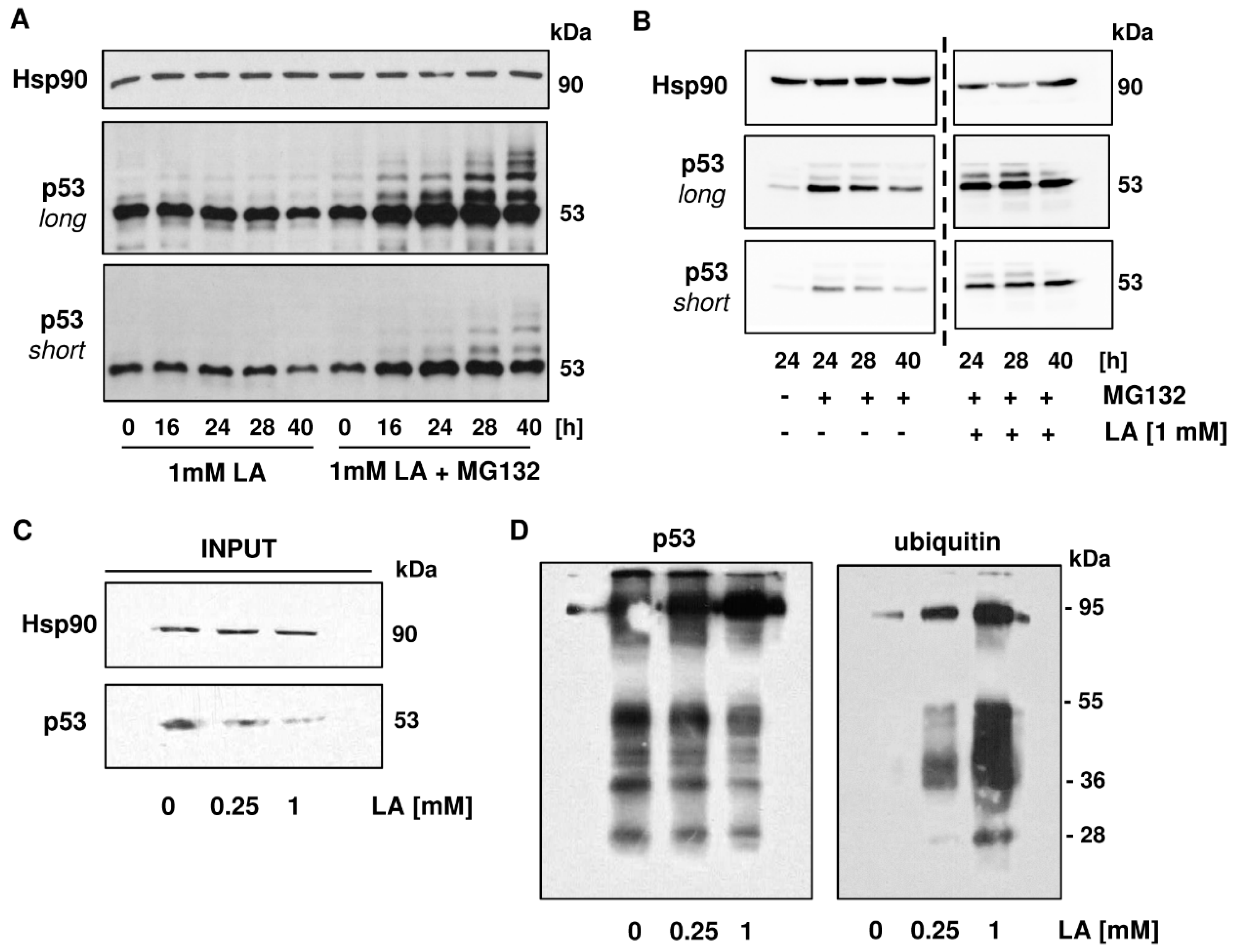 Cells 08 00794 g006