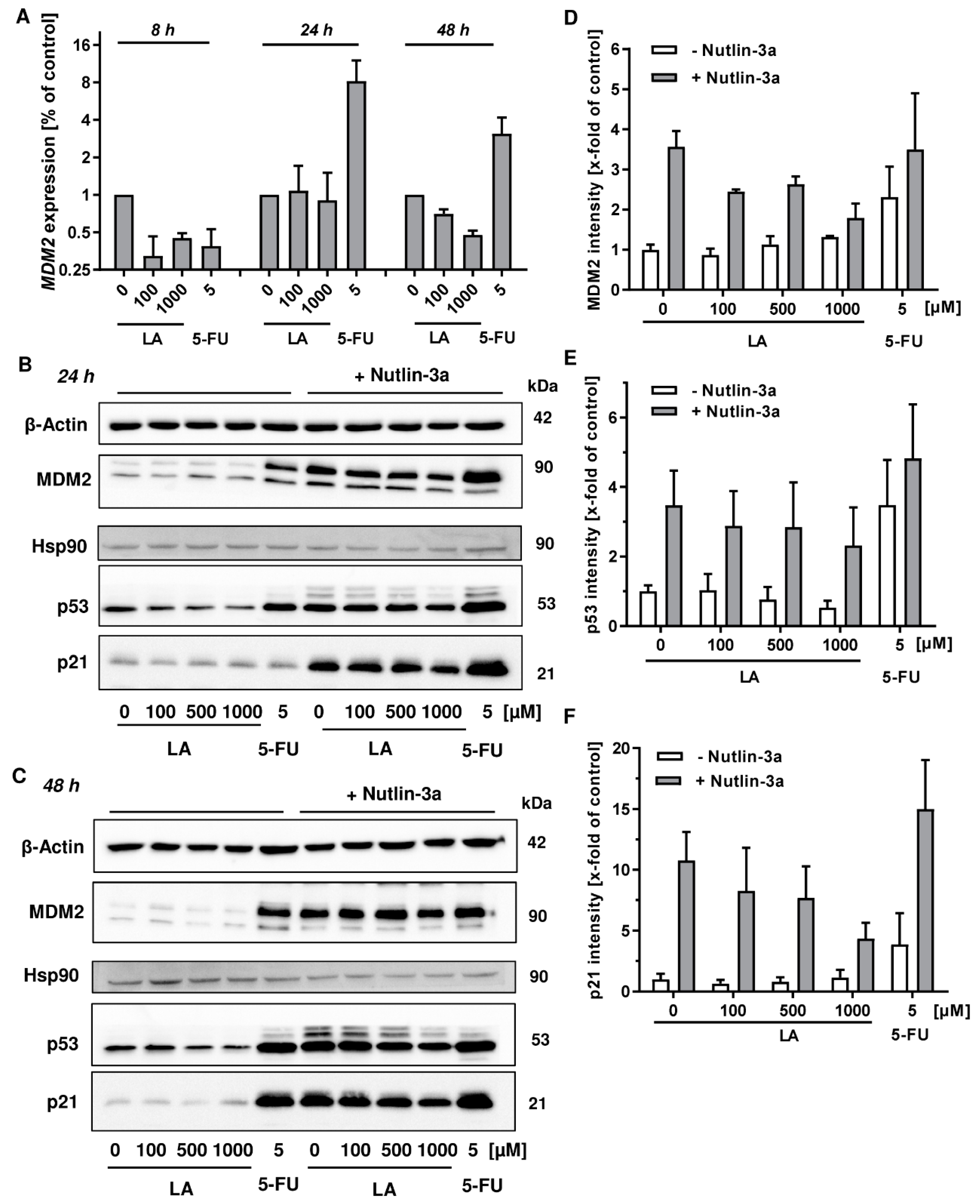Cells 08 00794 g007