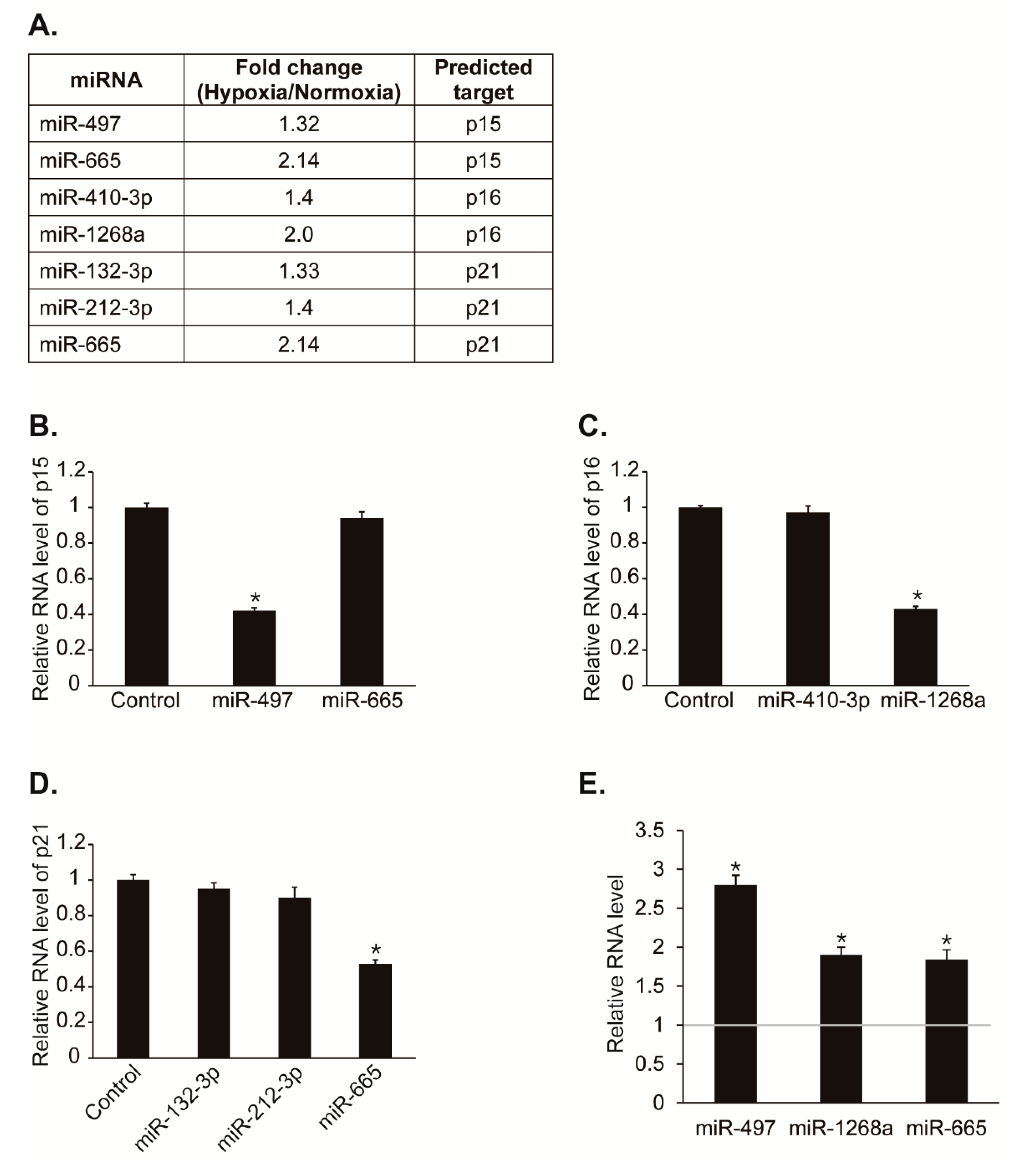 Cells 08 00802 g002 Cells 08 00802 g002