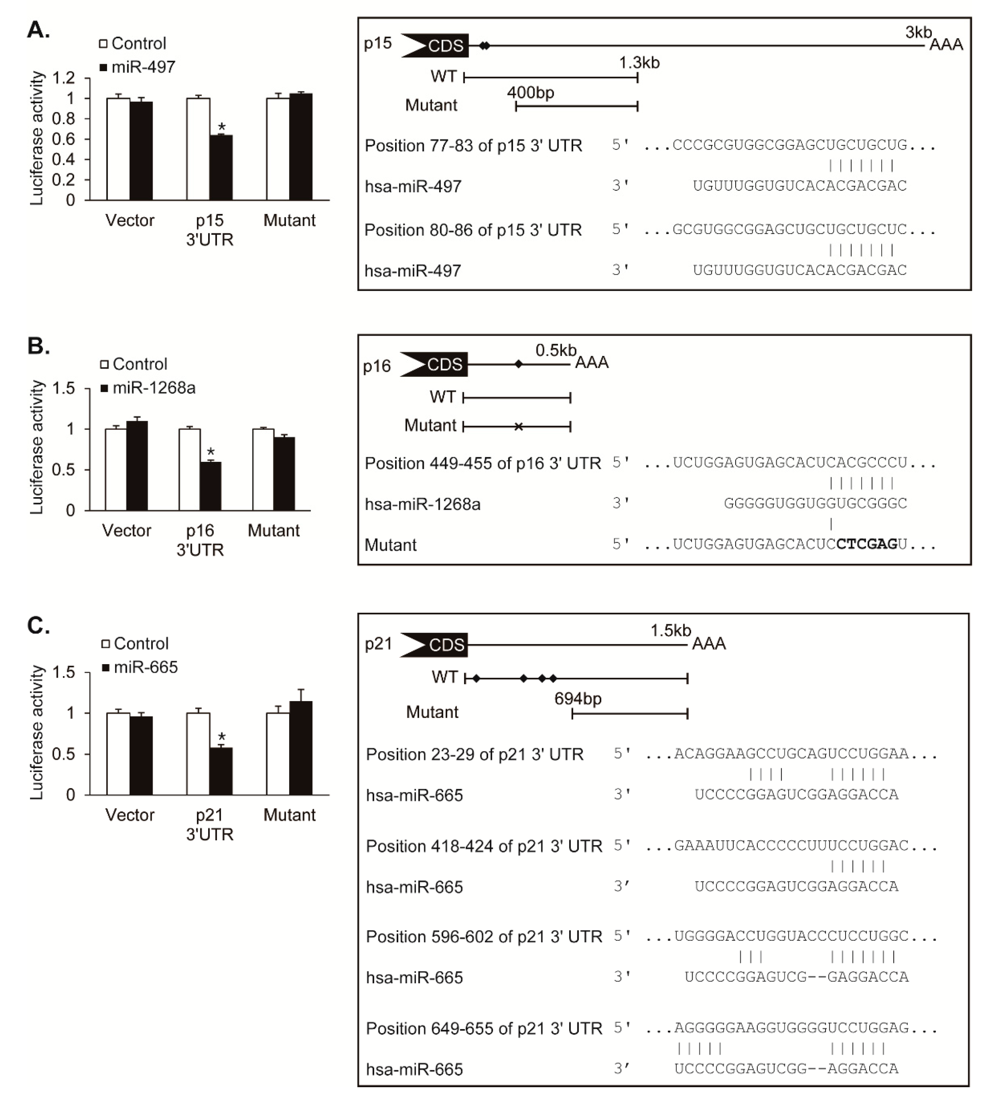 Cells 08 00802 g004 Cells 08 00802 g004