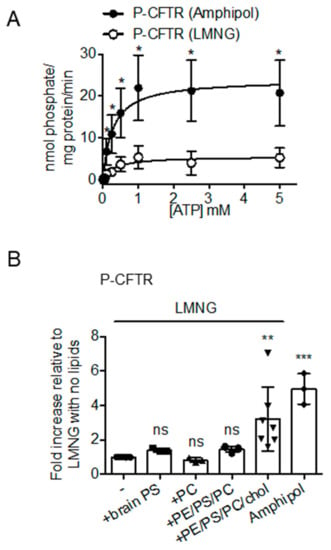 Cells Free Full Text Cholesterol Interaction Directly Enhances Intrinsic Activity Of The Cystic Fibrosis Transmembrane Conductance Regulator Cftr Html