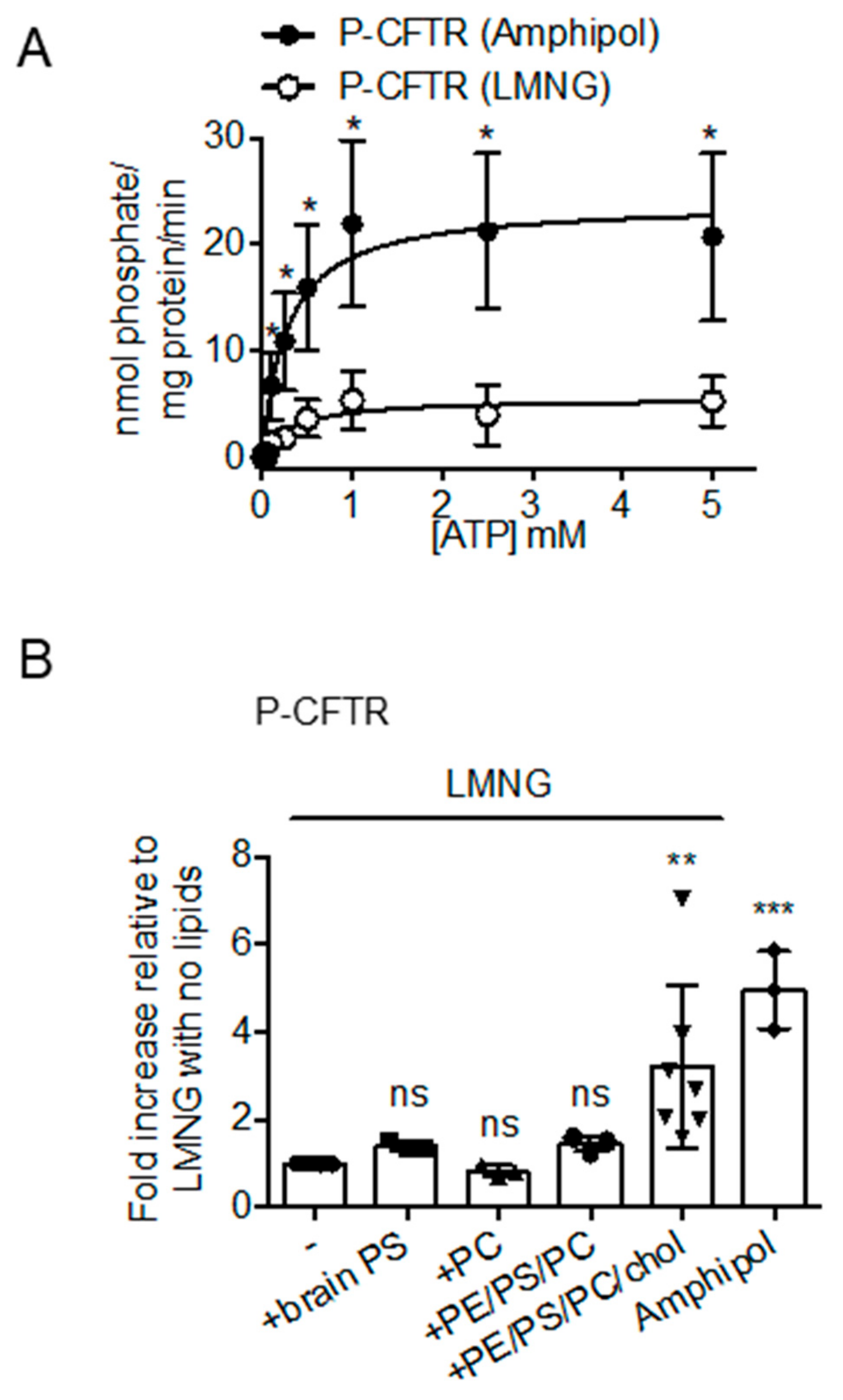 Cells 08 00804 g003 Cells 08 00804 g003