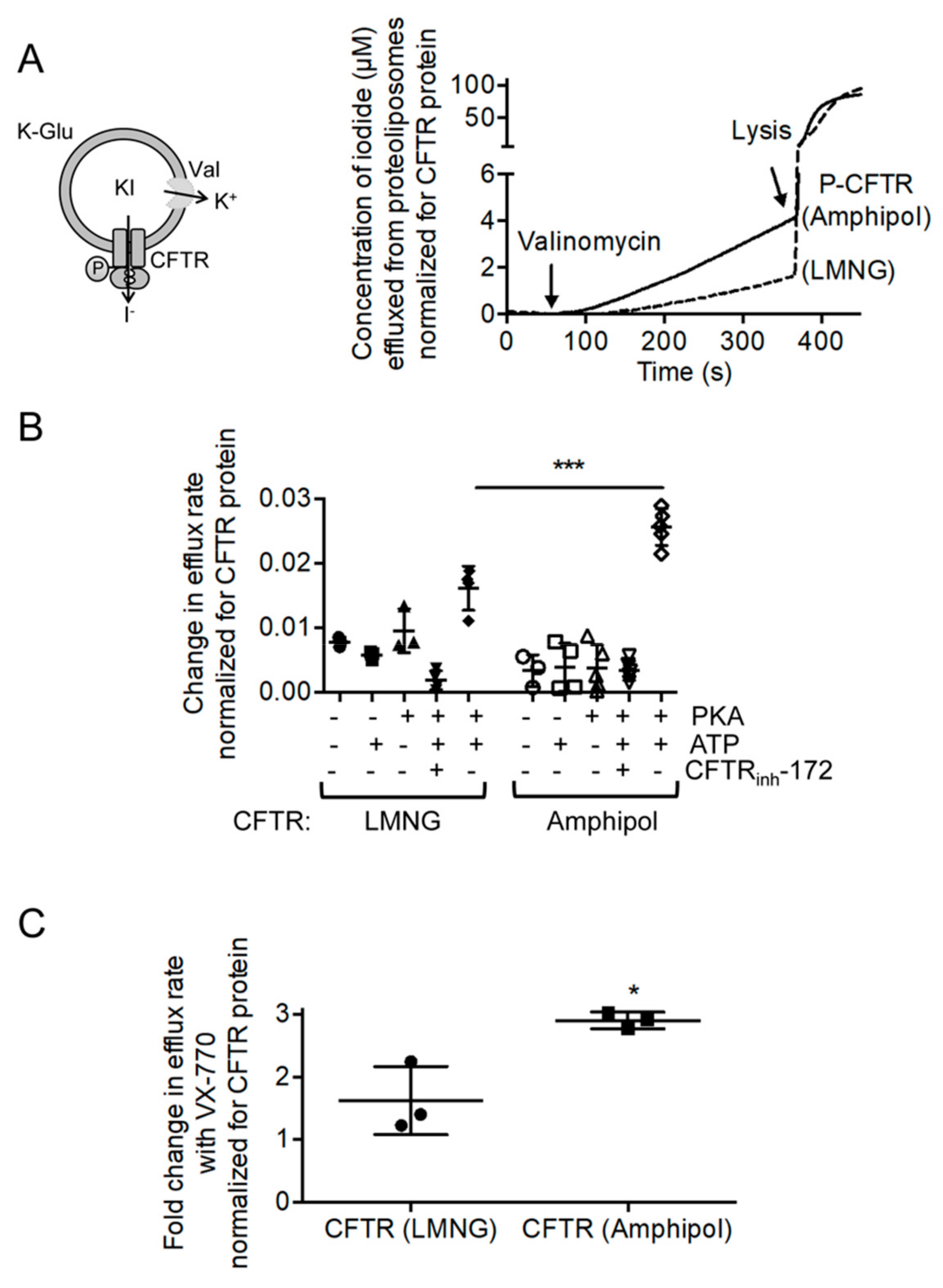 Cells 08 00804 g004 Cells 08 00804 g004