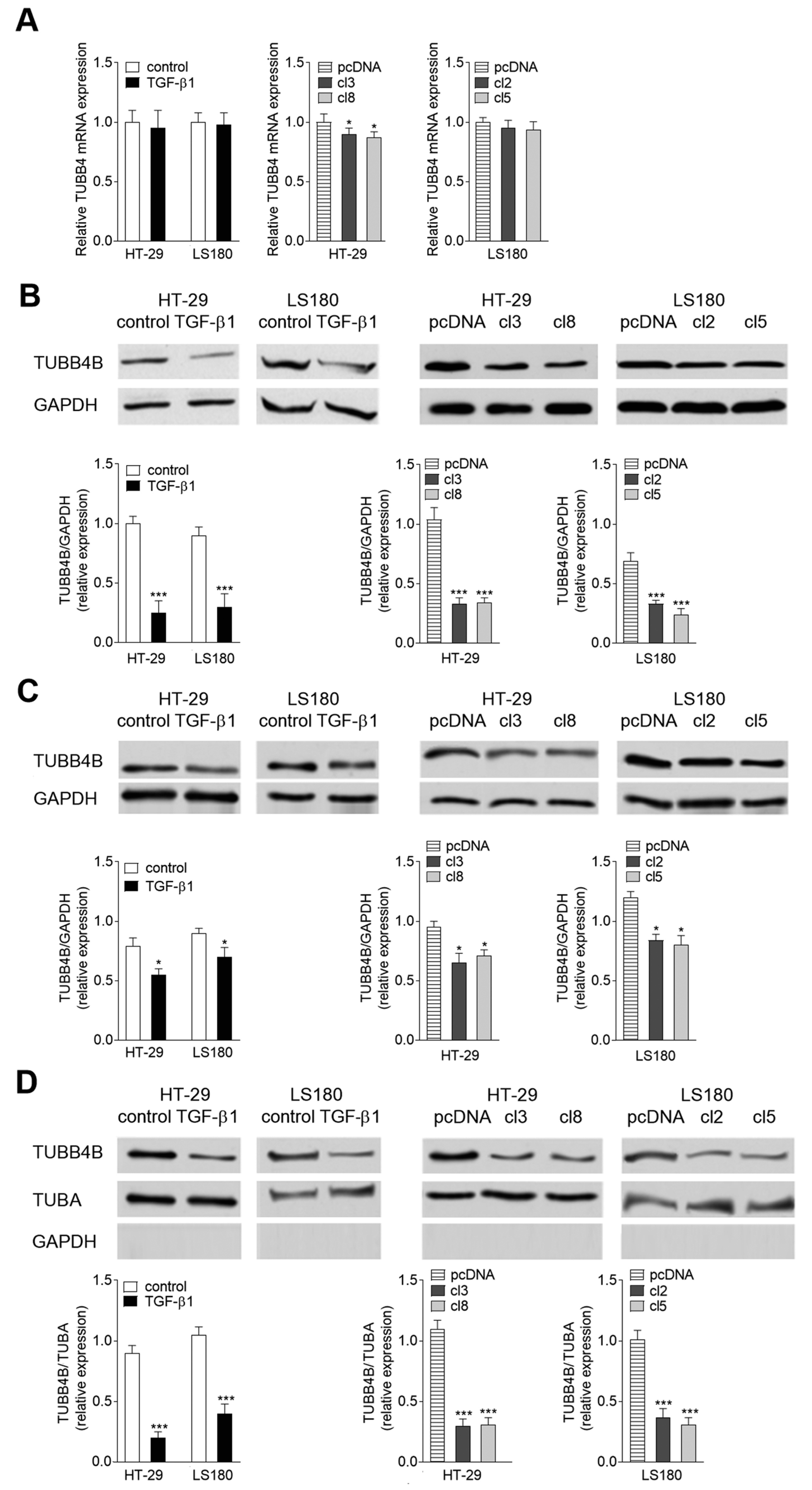 Cells 08 00810 g001 Cells 08 00810 g001