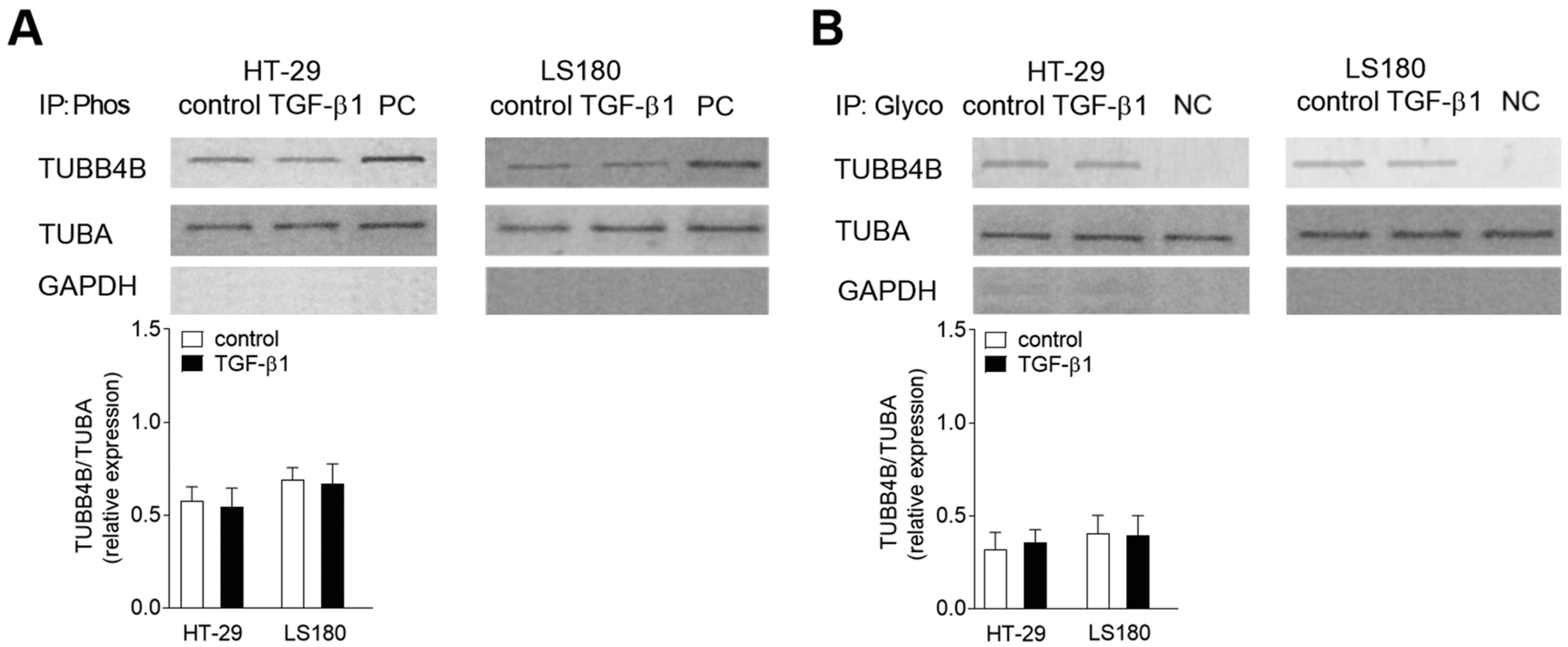 Cells 08 00810 g002 Cells 08 00810 g002