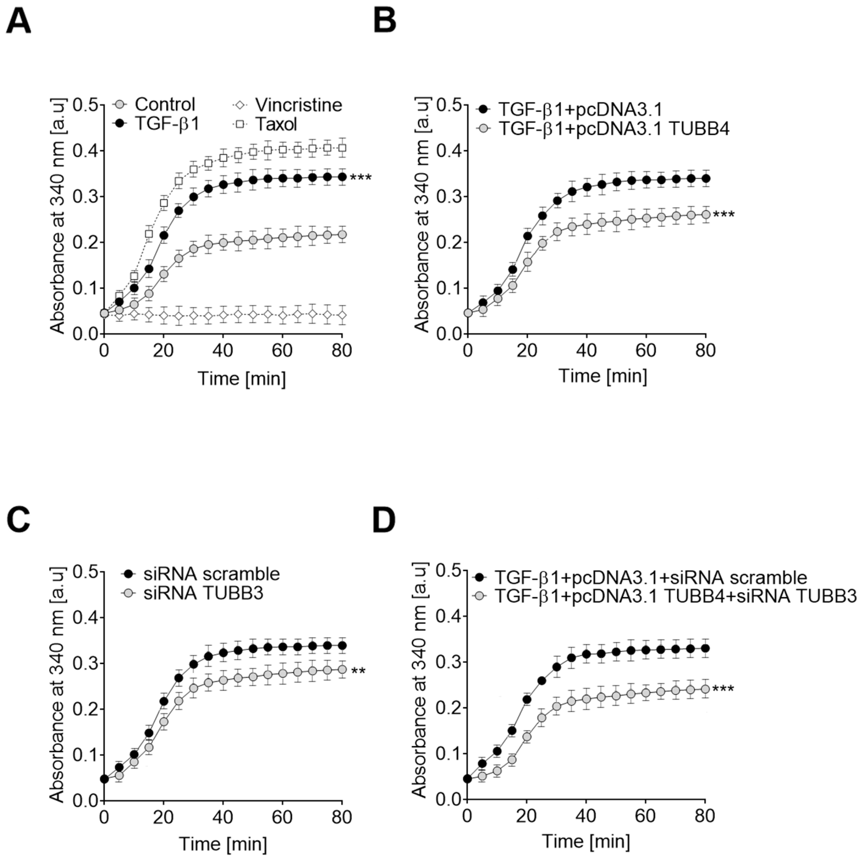Cells 08 00810 g004 Cells 08 00810 g004