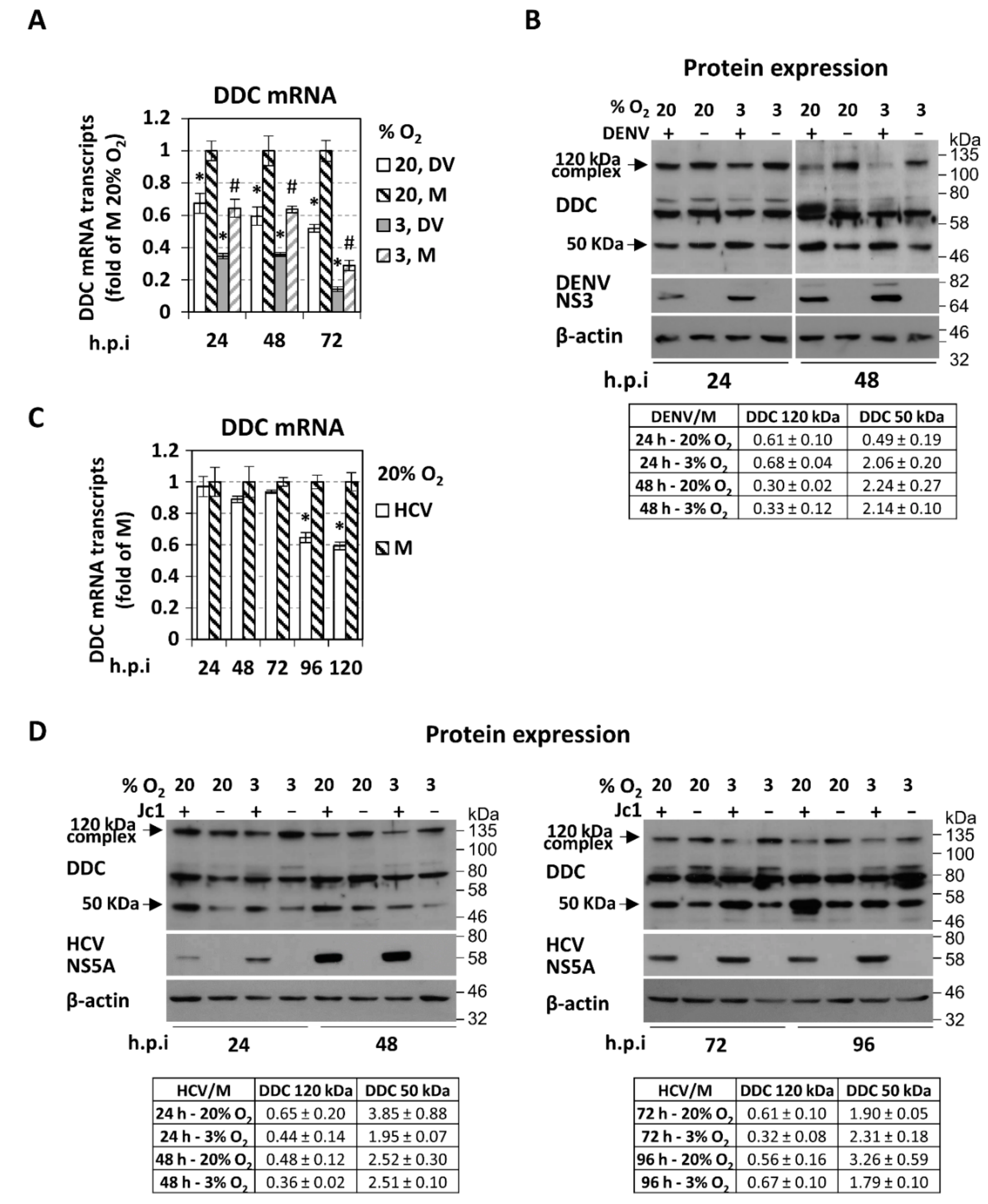 Cells 08 00837 g001