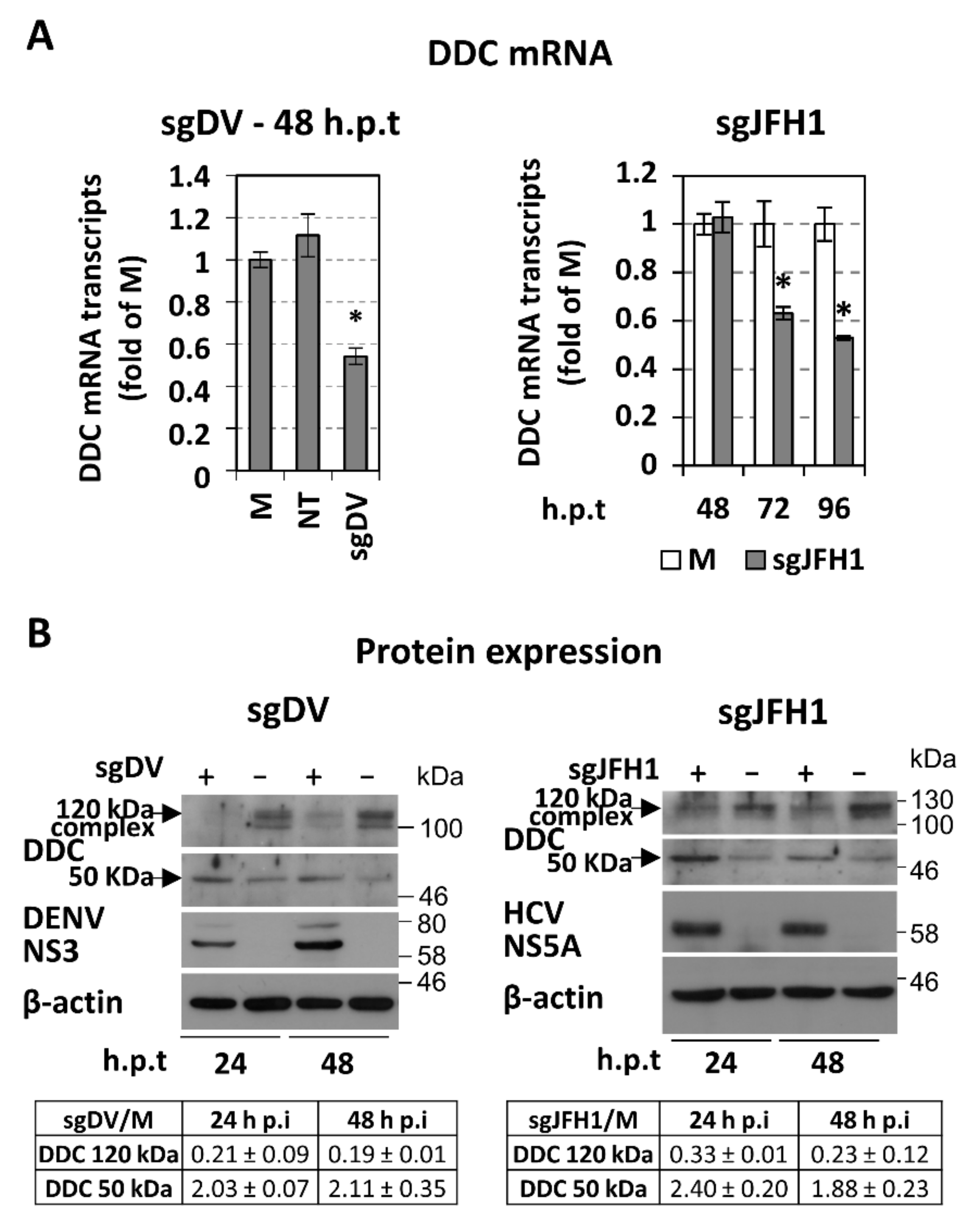 Cells 08 00837 g002