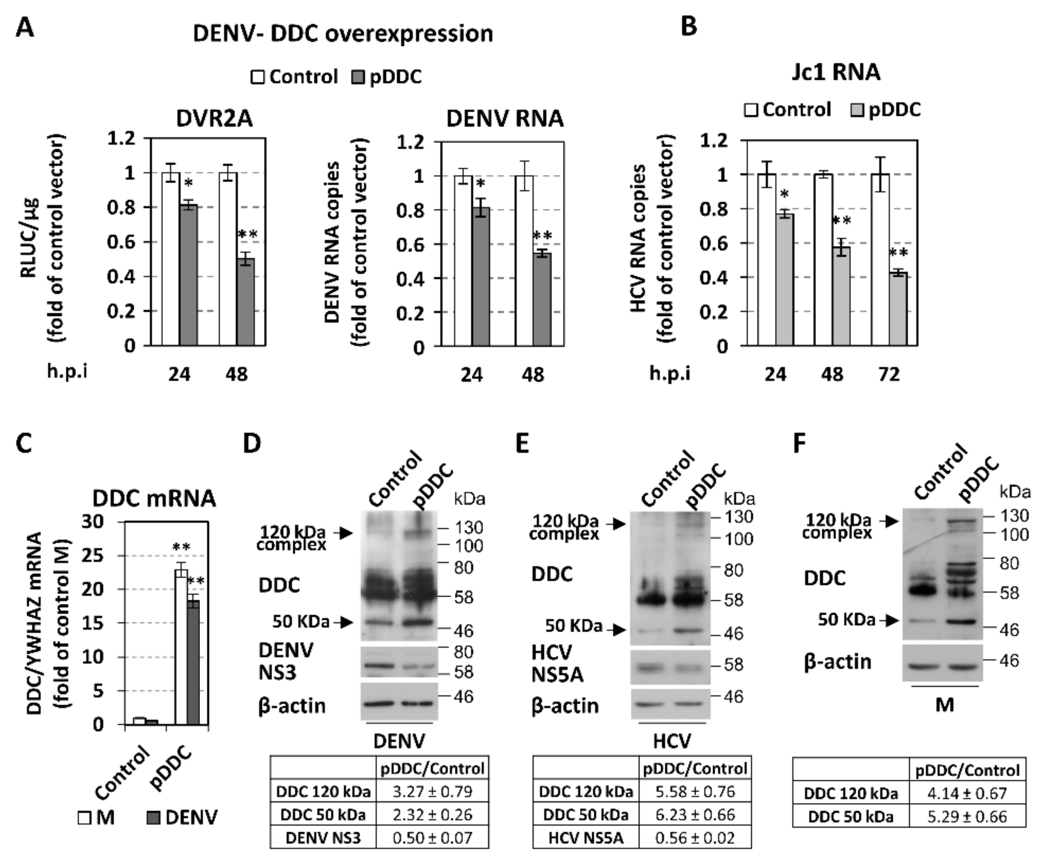 Cells 08 00837 g005