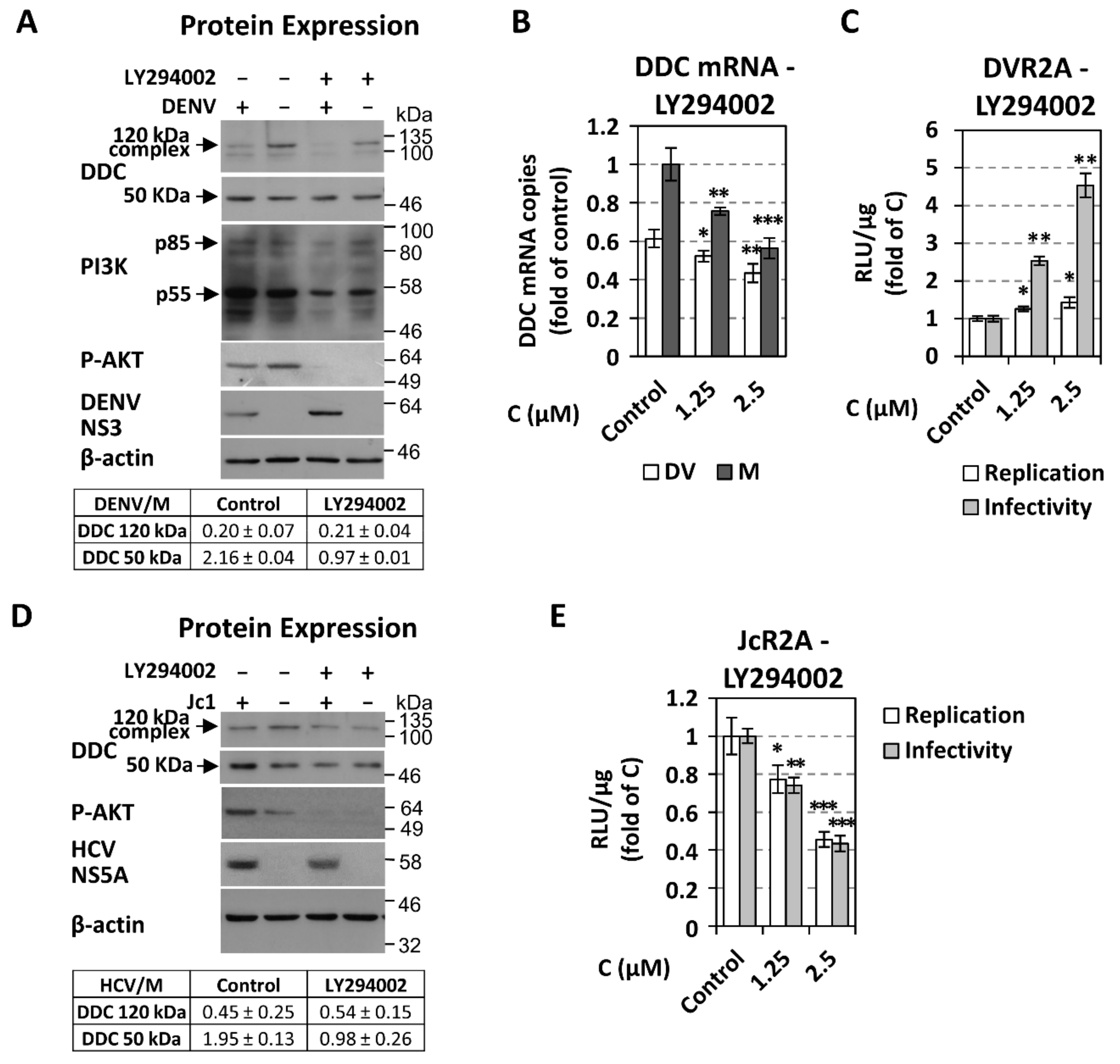 Cells 08 00837 g007