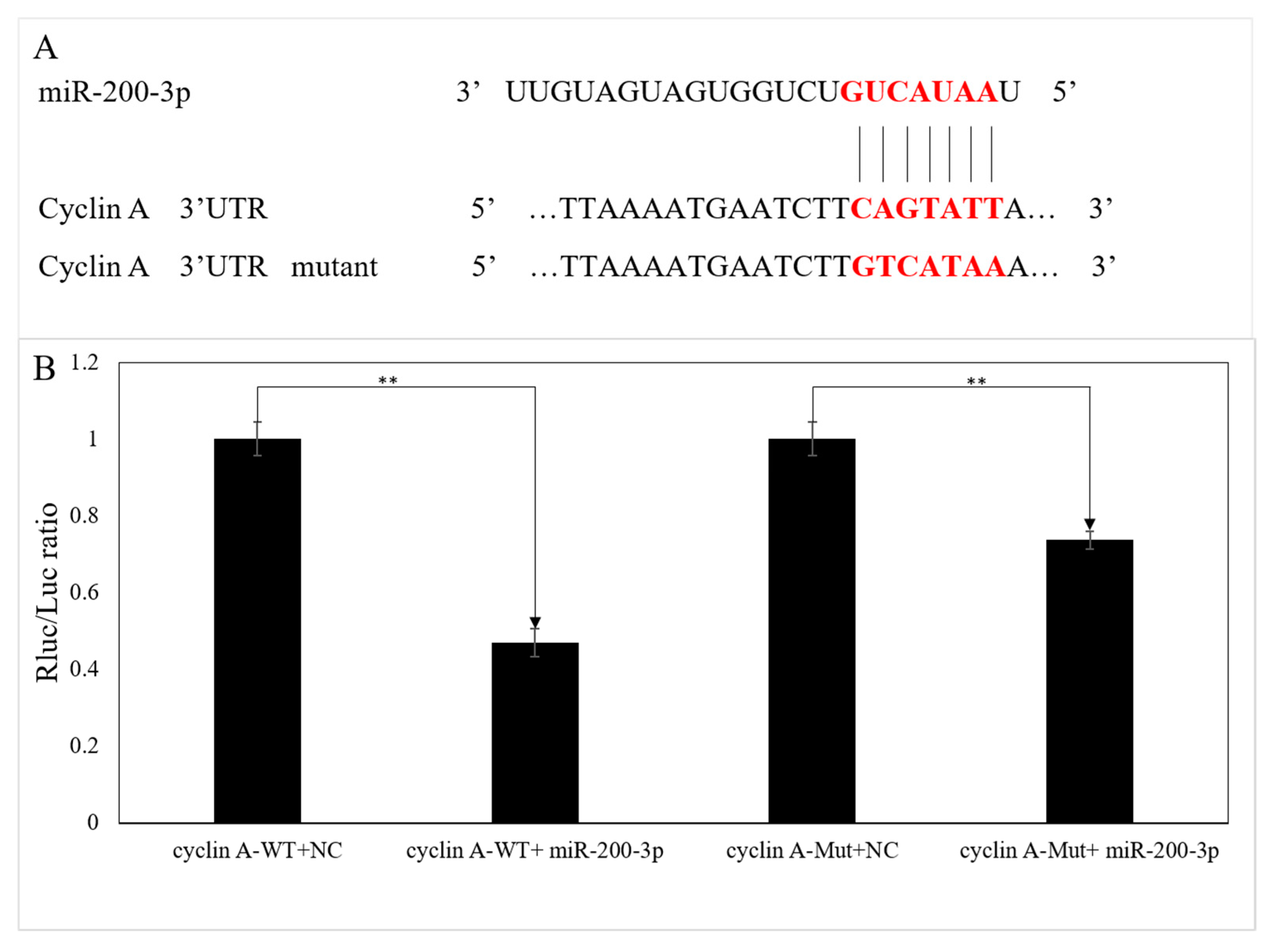 Cells 08 00843 g005