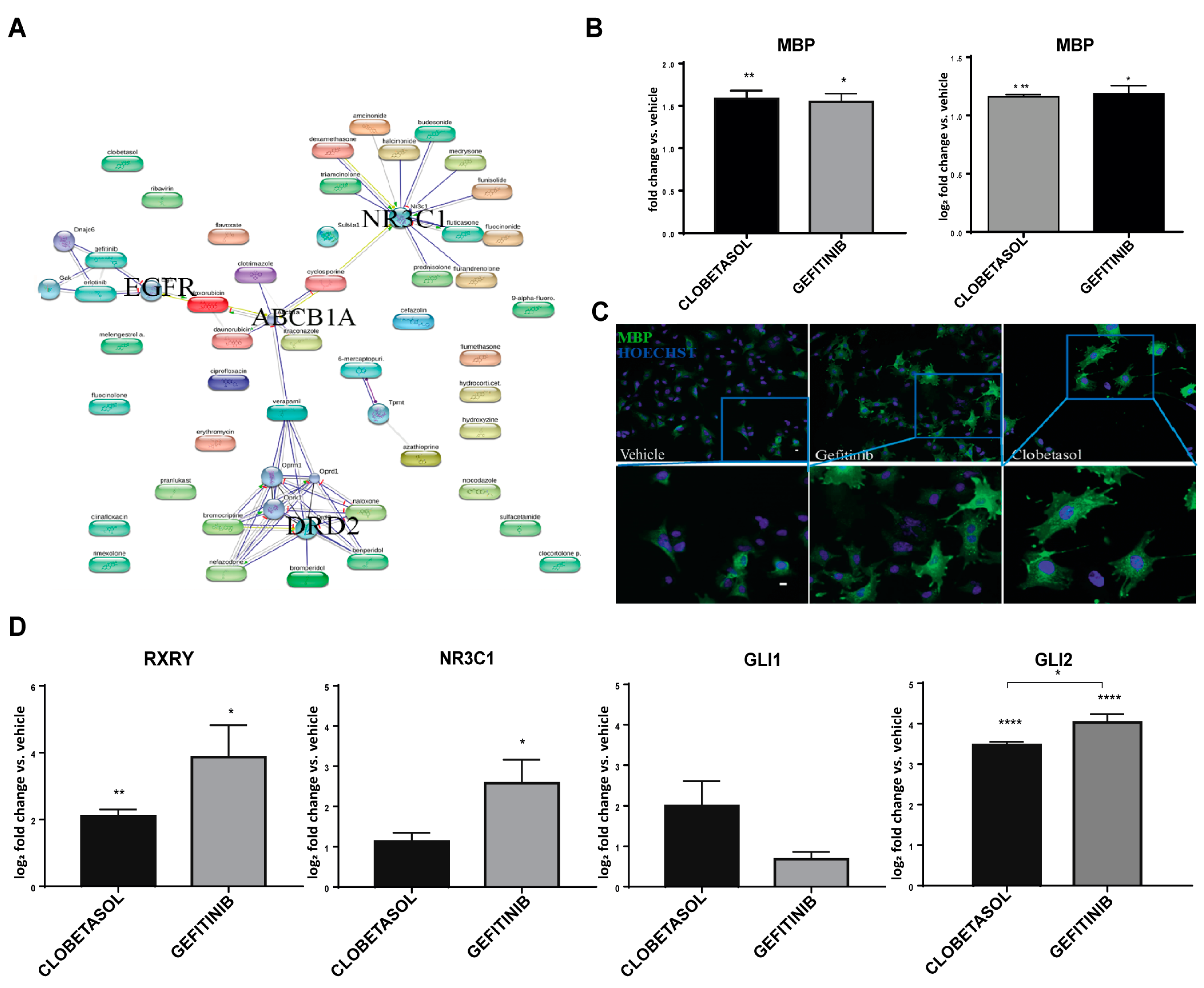 Cells 08 00844 g001 Cells 08 00844 g001